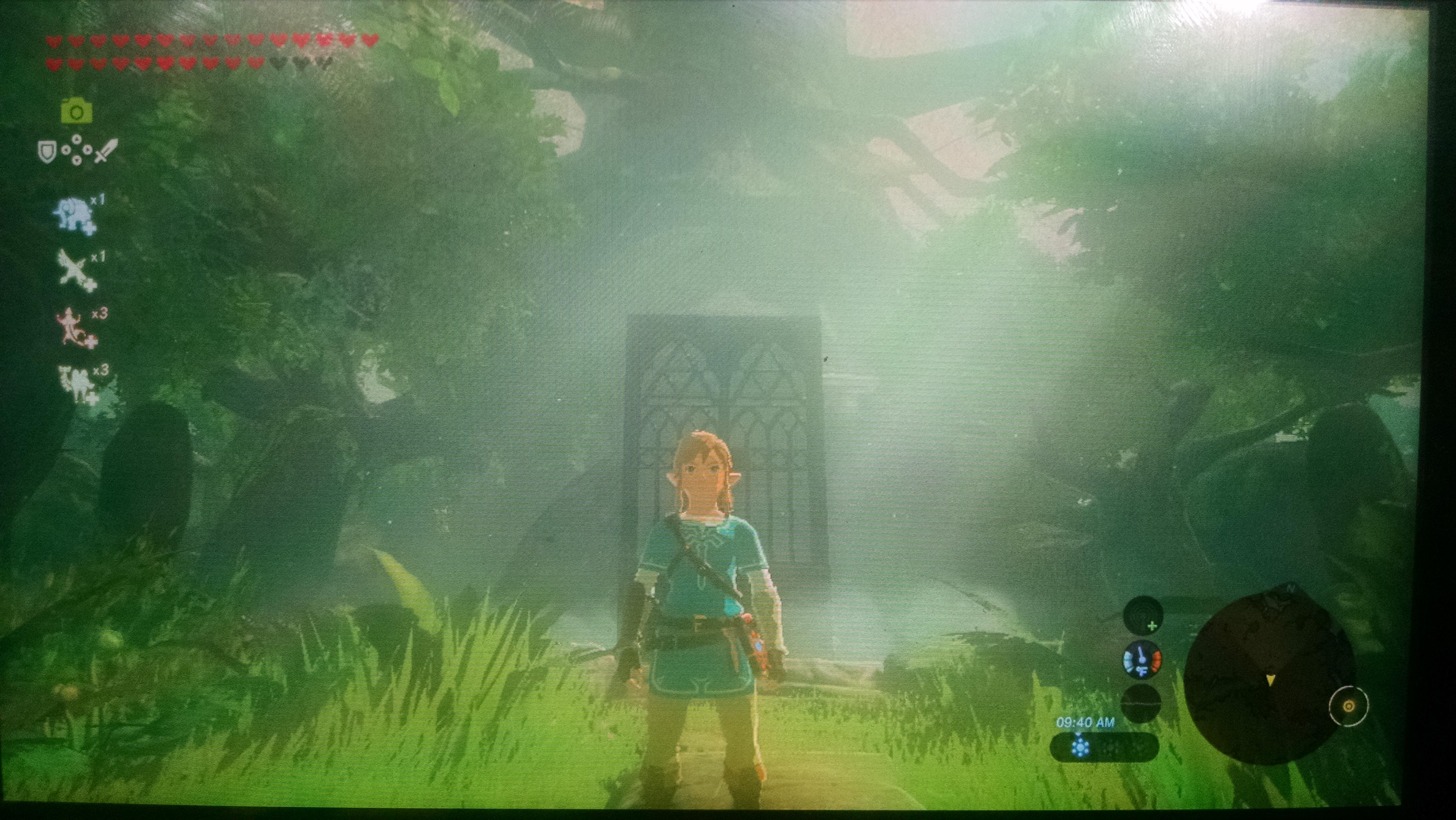 I brought the Great Deku Tree some new furniture. r/Breath_of_the_Wild