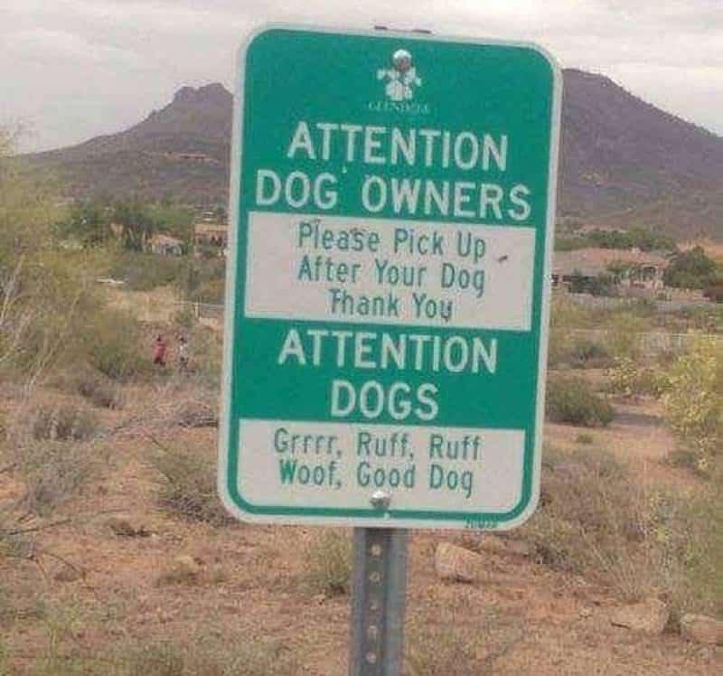 Good dog r/funnysigns