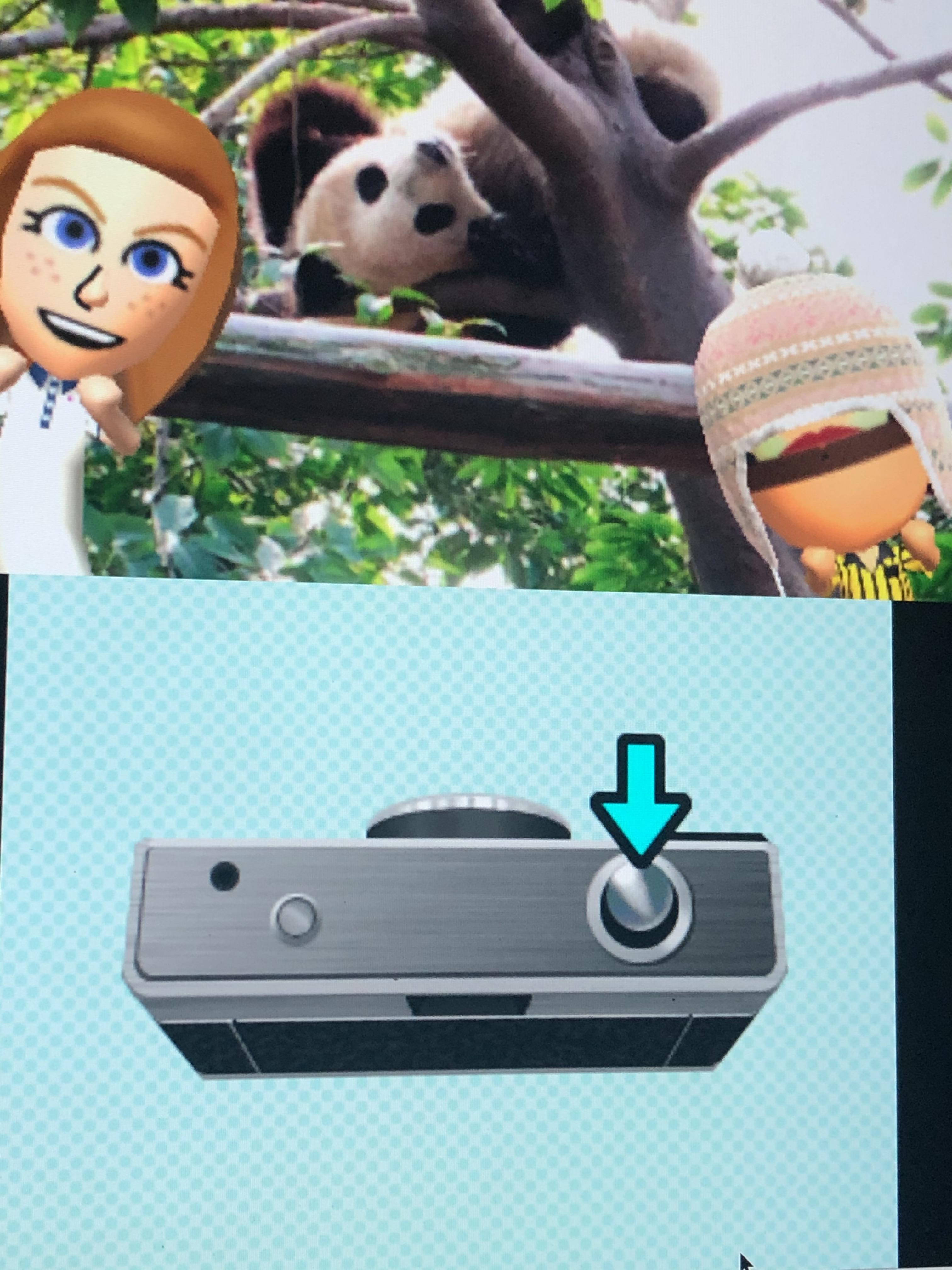 Made Abby and Beef Boss in my own Tomodachi game and now they’re dating! r/poofesure