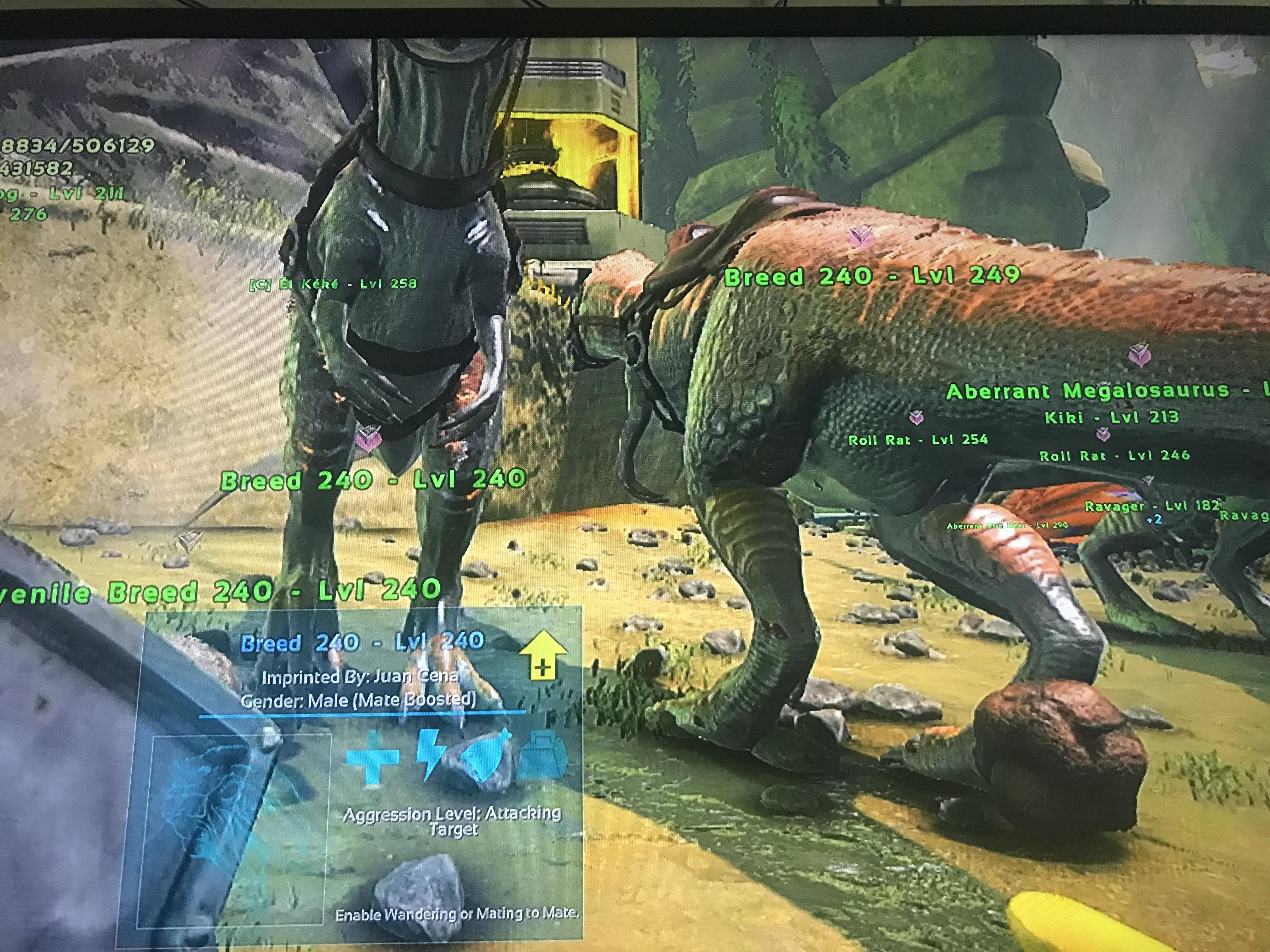 So I tamed a 150 and a 145 megalosaurus and they came out as 240 twins
