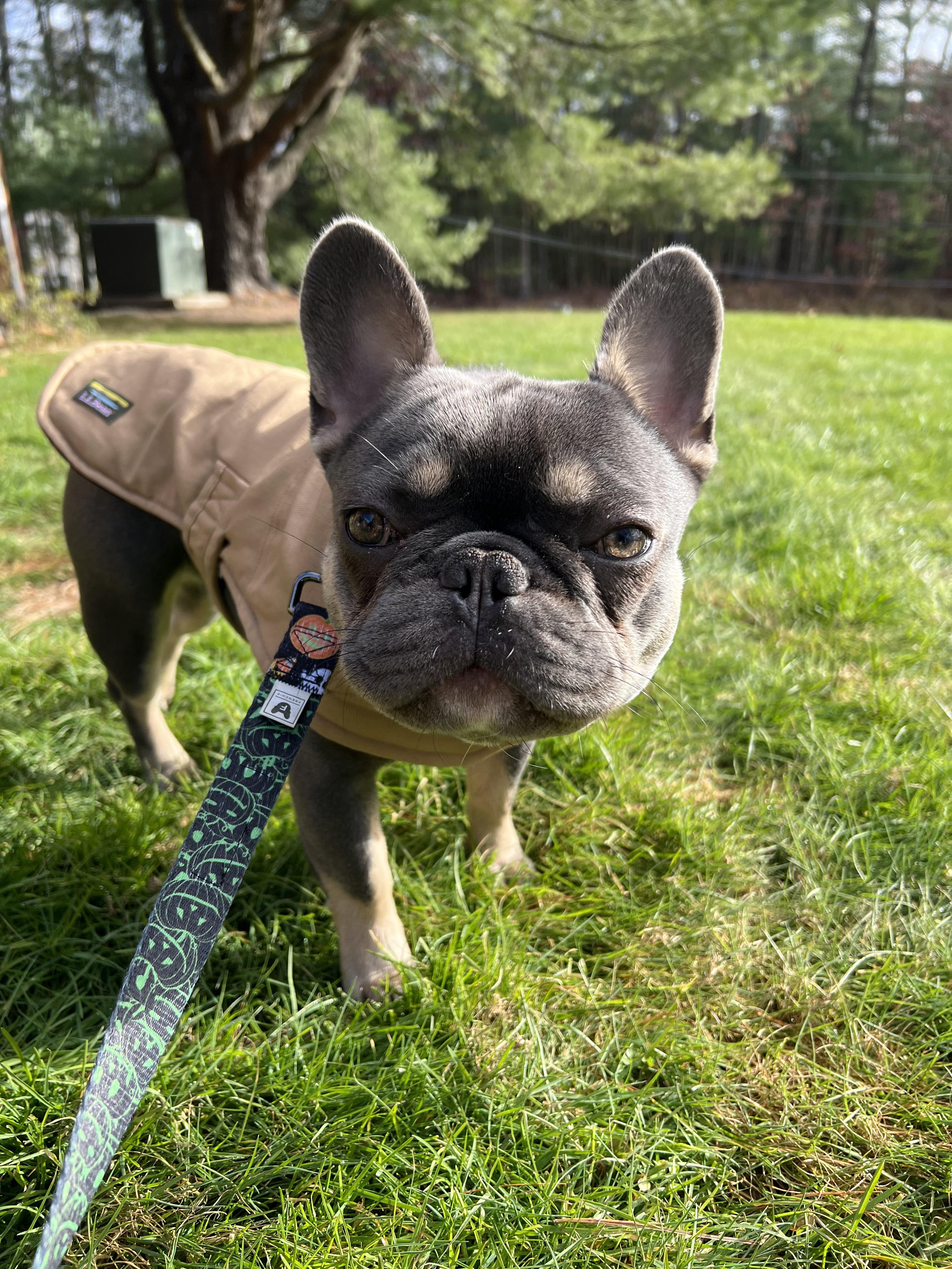 any suggestions on good coats and boots/winter foot protection for