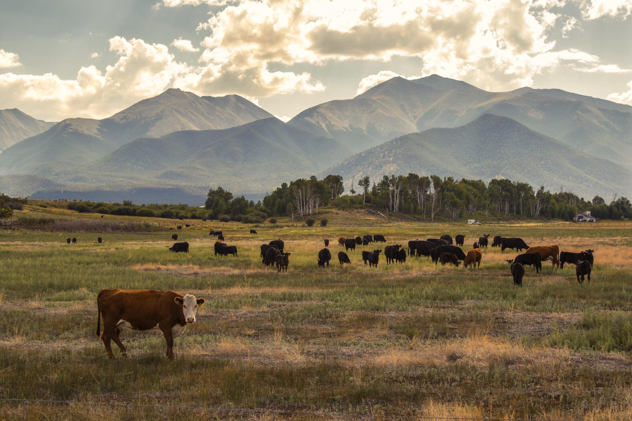 Chaffee County, Colorado a pictureperfect scene that I came across during a 5 hour cross