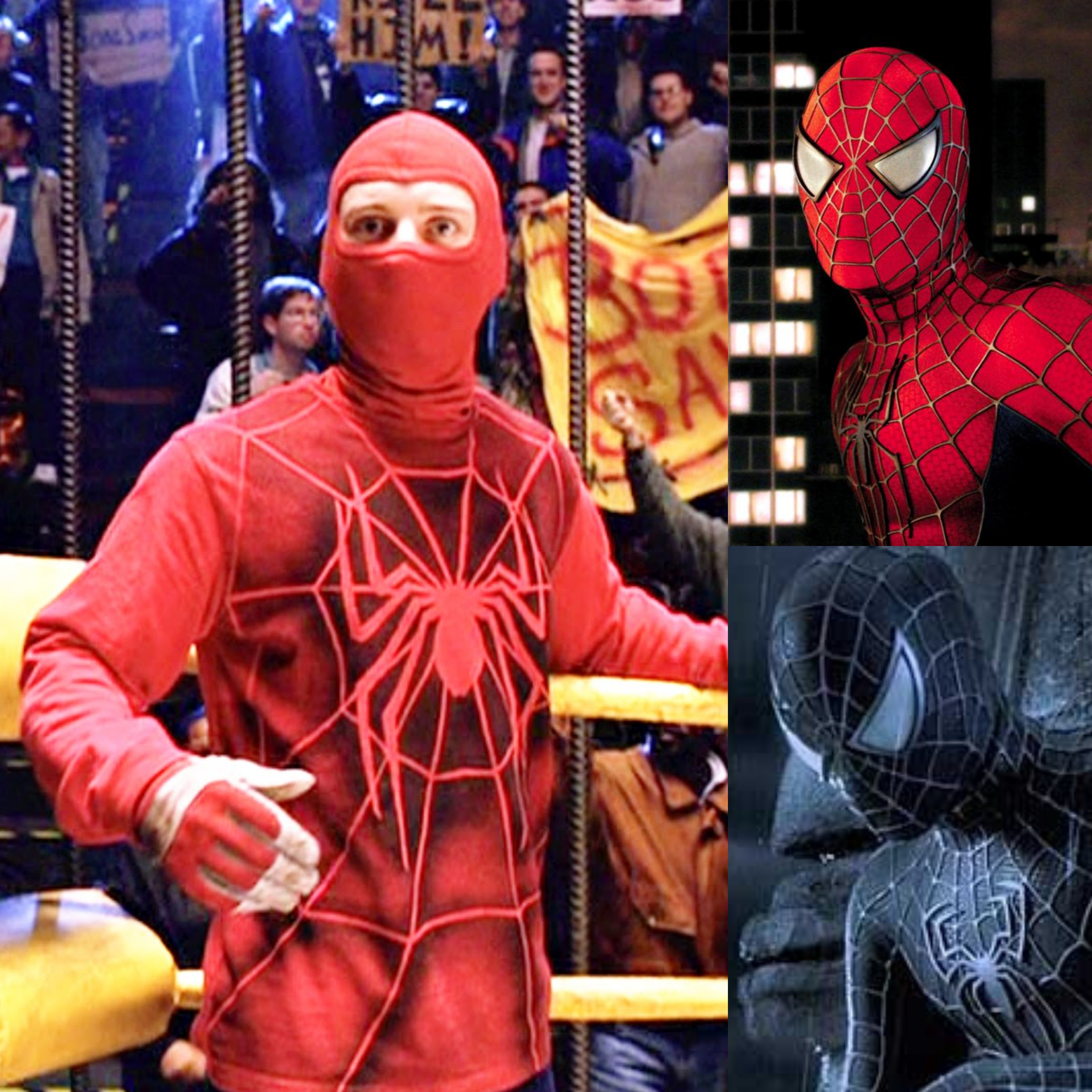 Sam Raimi Spider Man Black Suit