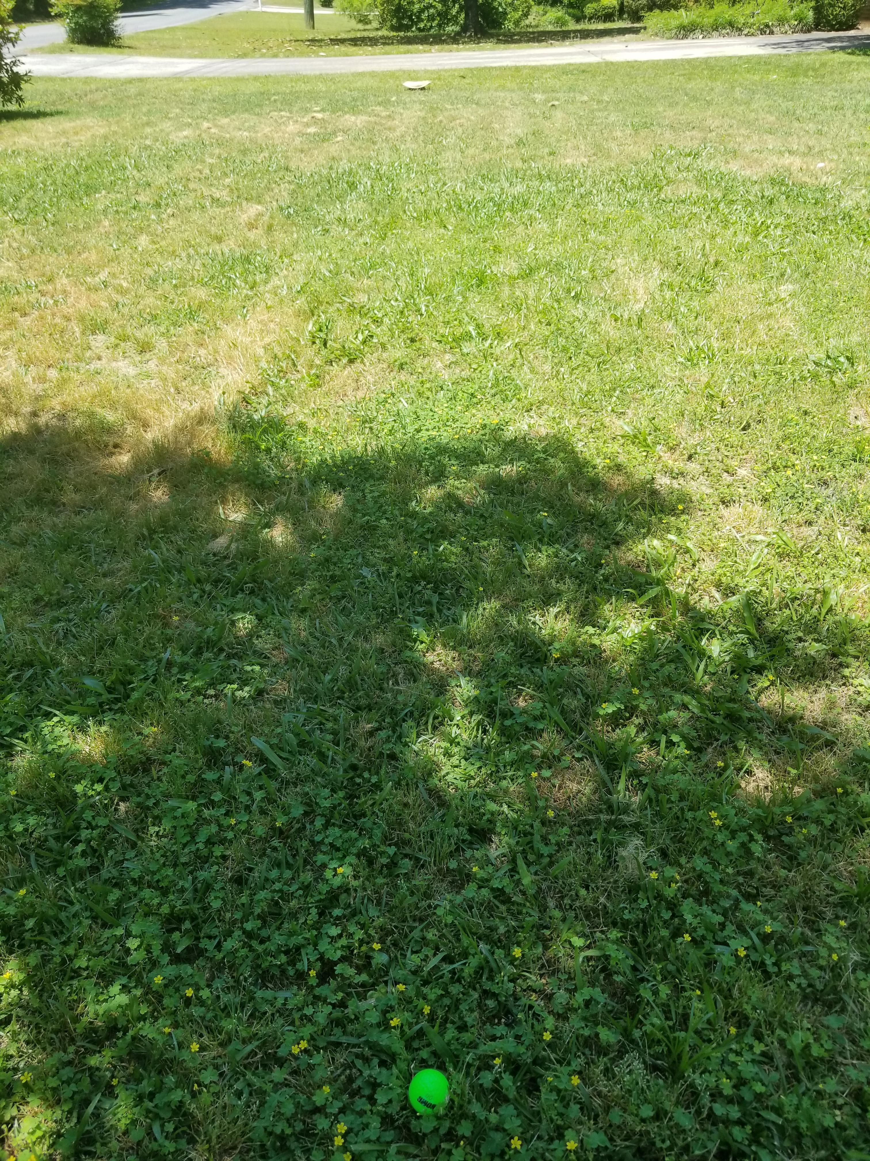 Best way to practice chipping... r/golf