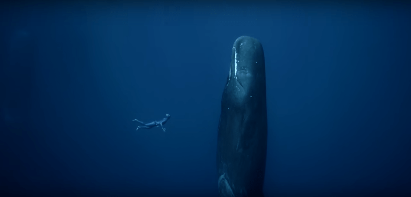 Free diver encounters sleeping whale r/thalassophobia