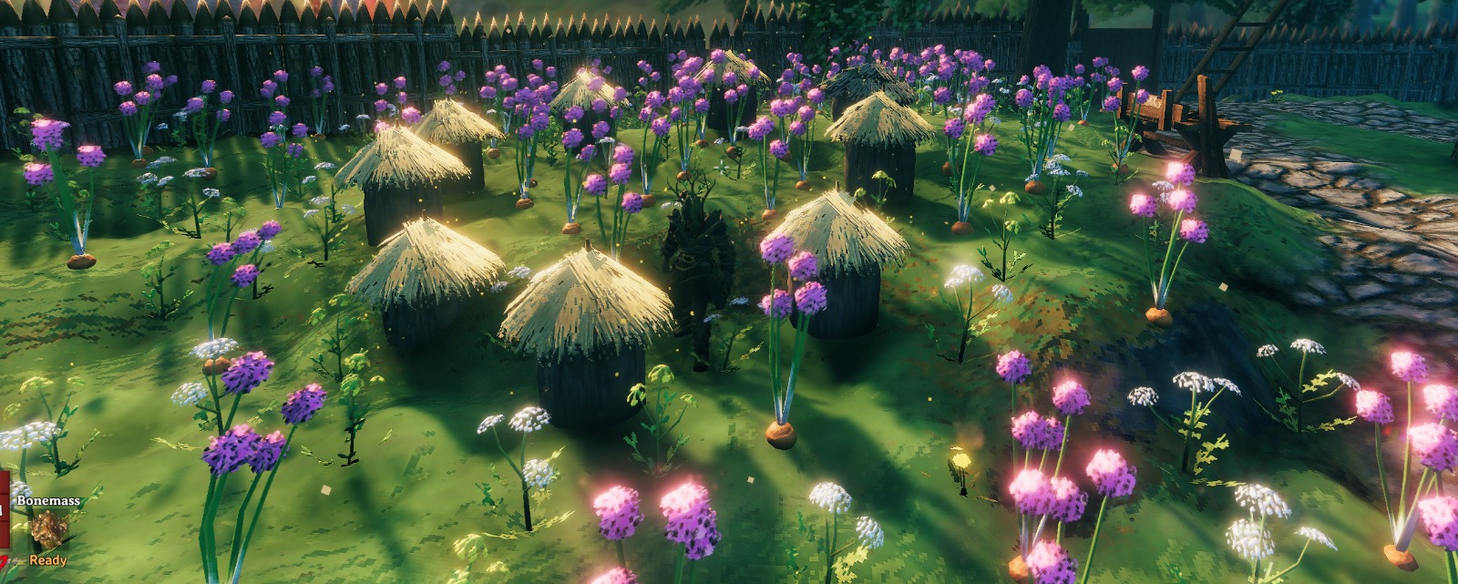 I spent today making a wild flower garden for my bees to be even