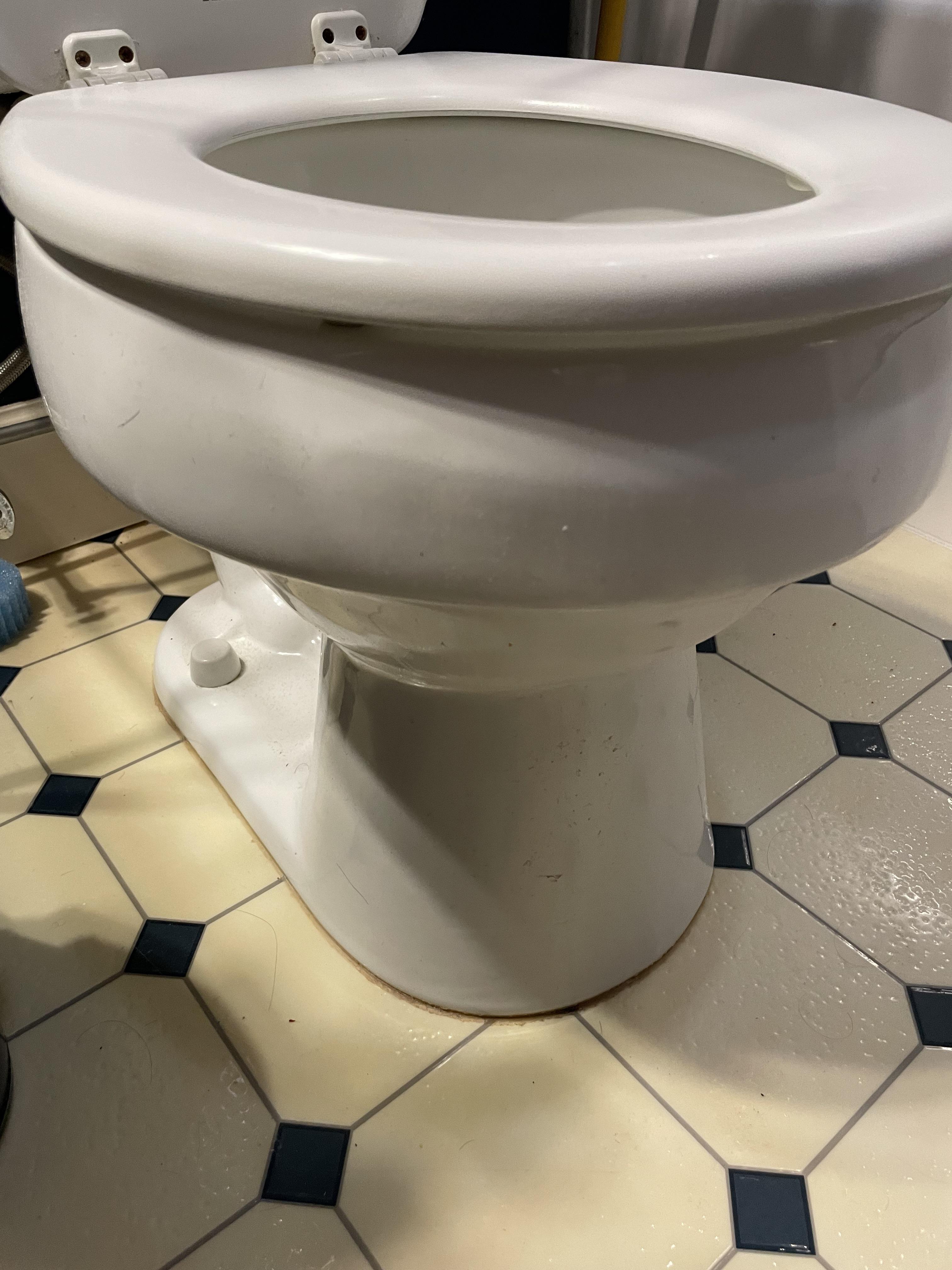 Toilet still smells like piss even though I’ve cleaned it inside out