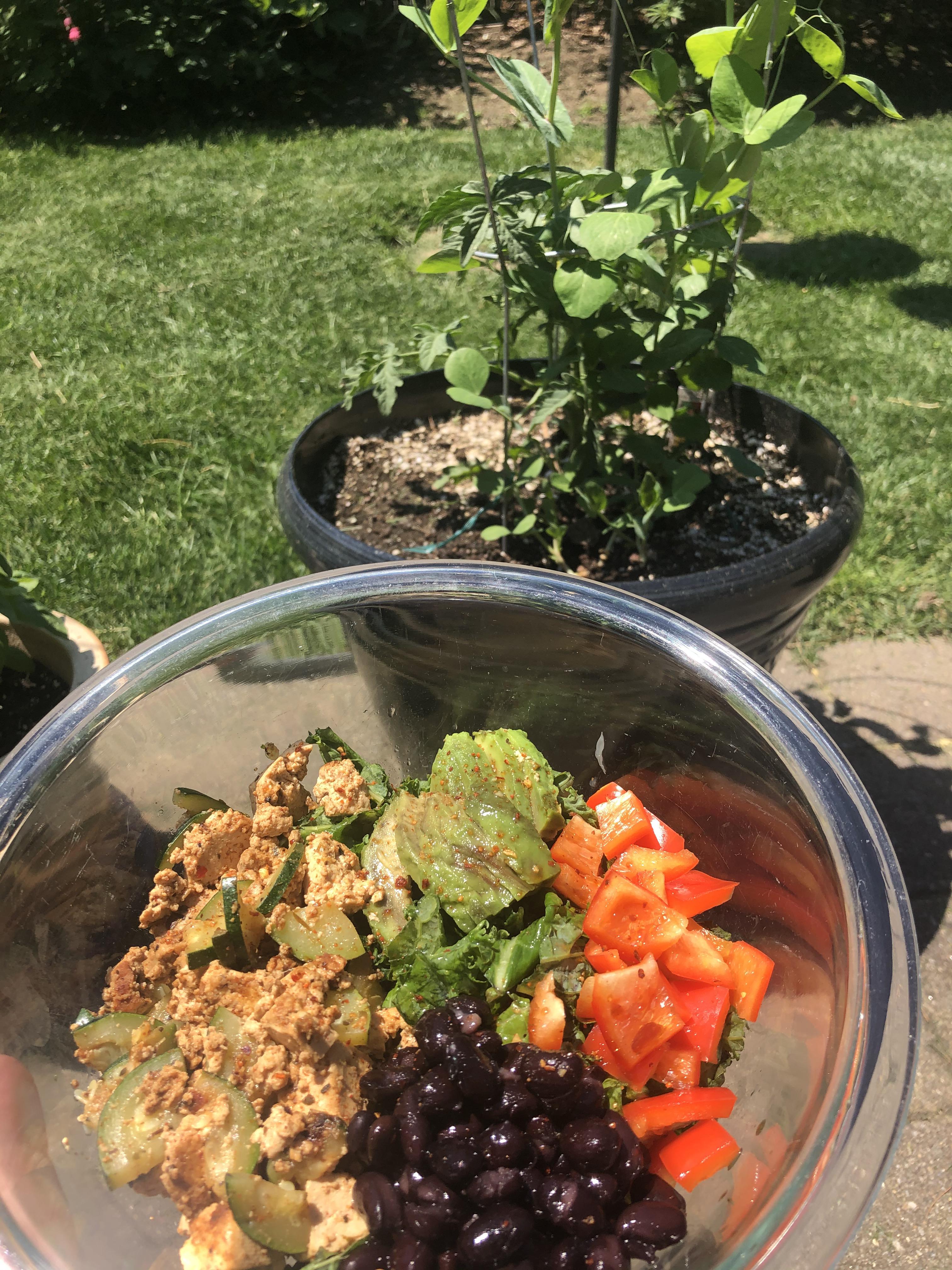 Marinated tofu scramble salad, 249 kcal (description in comments) r/1200isplenty