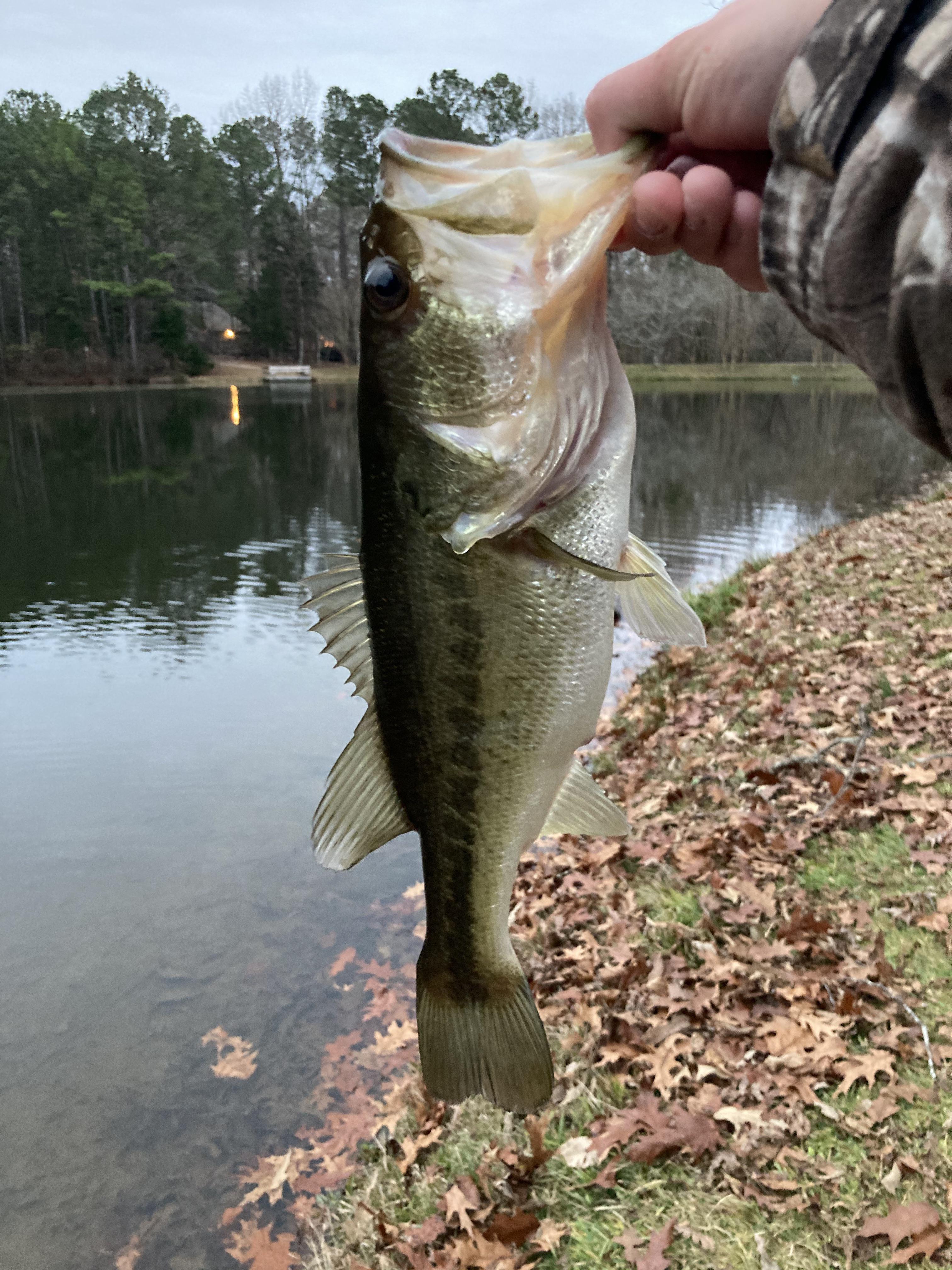 ISO Bass Fishing Ponds r/ColumbiYEAH