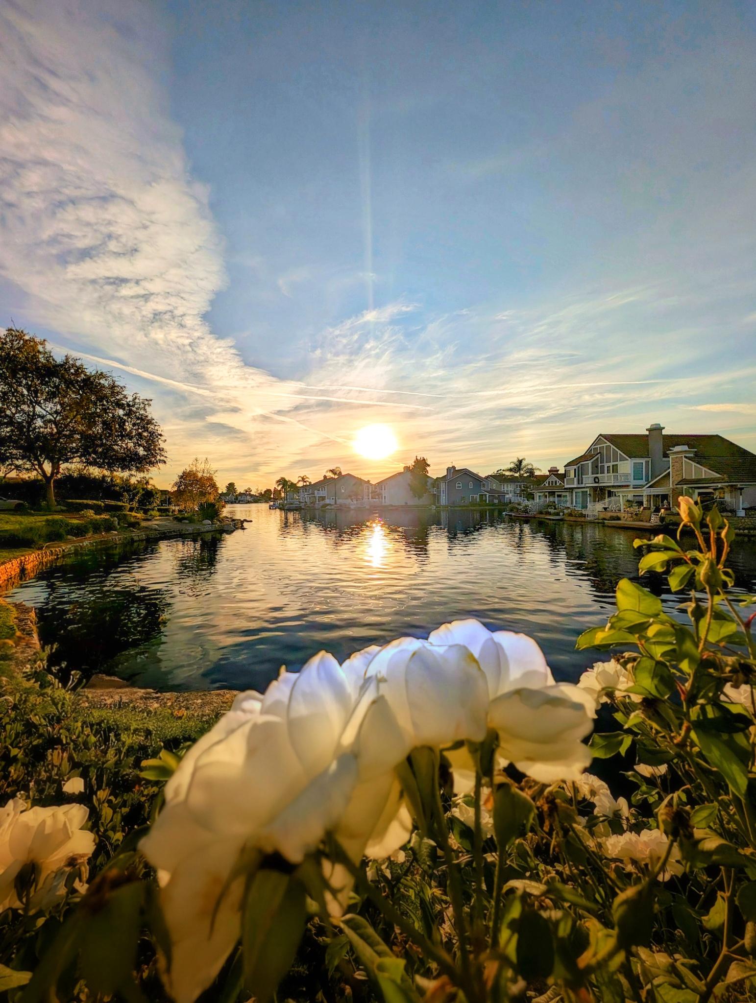 Sunset at East Lake Village, Yorba Linda CA r/sunset