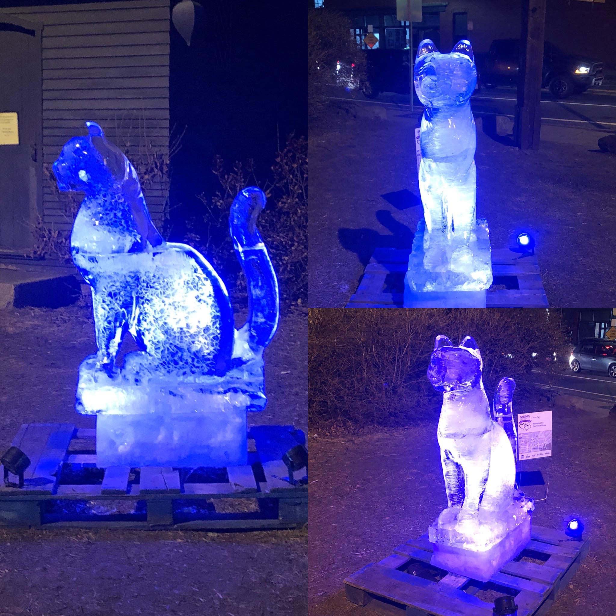 My favorite ice sculpture from this weekend was of course the cat! r