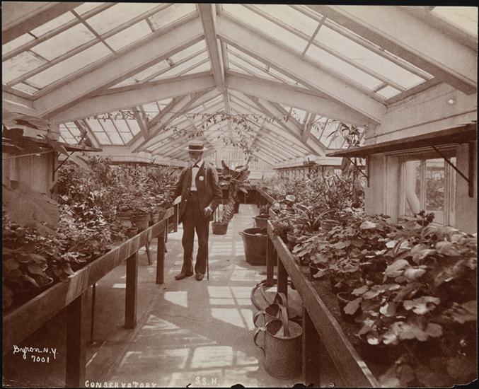 The greenhouse of Sailors' Snug Harbor, Staten Island, New York. Photo