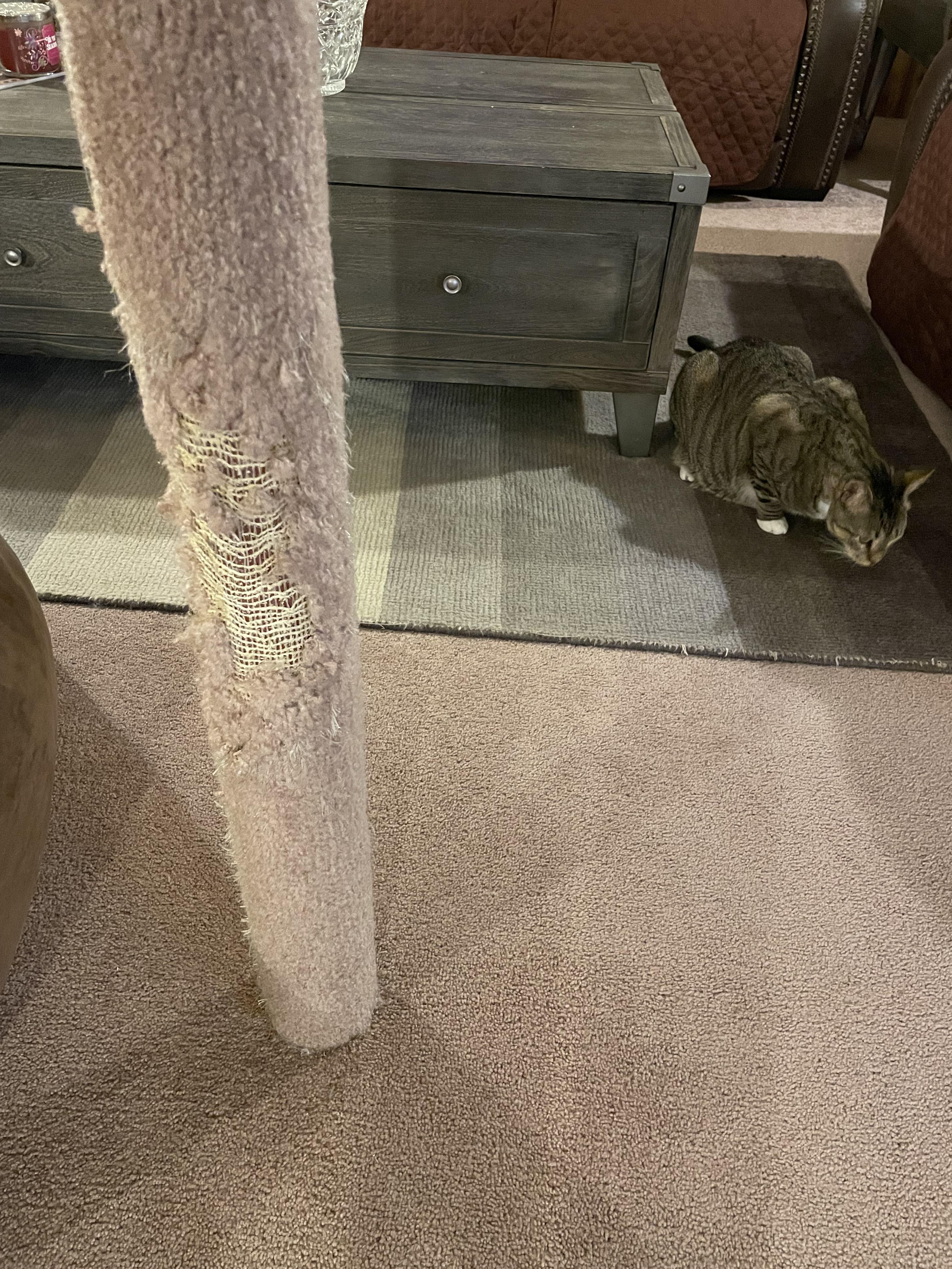 Any ideas to spruce up what my cats ruined? r/interiordecorating