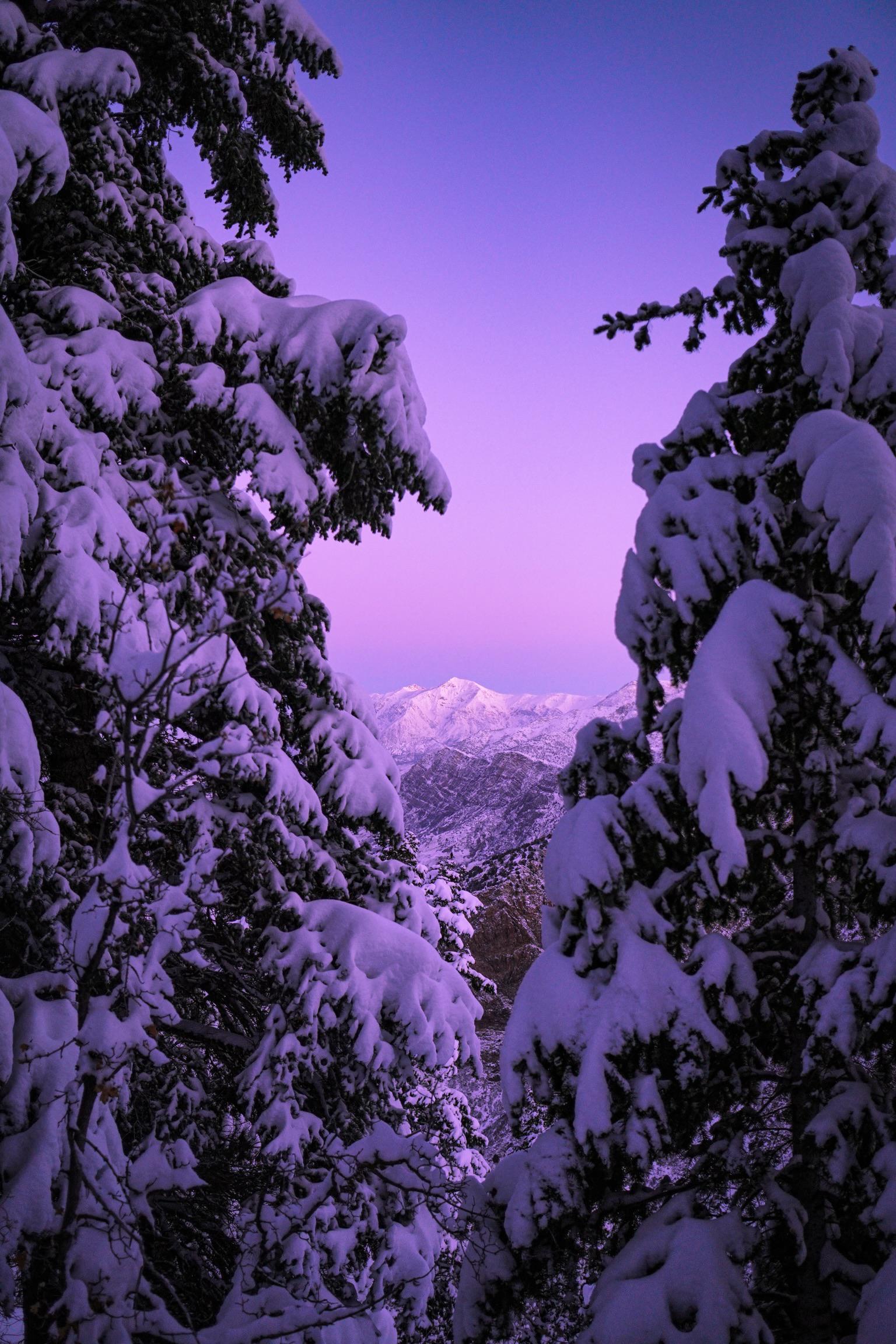 Beautiful Winter Morning in Northern Utah [OC] (4000x6000) r/EarthPorn