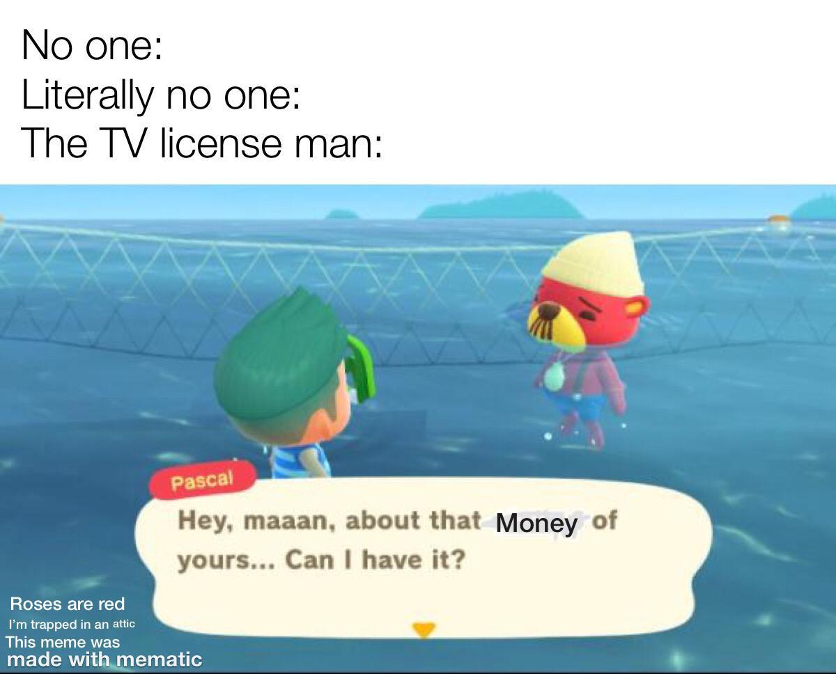 Is animal crossing still relevant? r/Memeulous