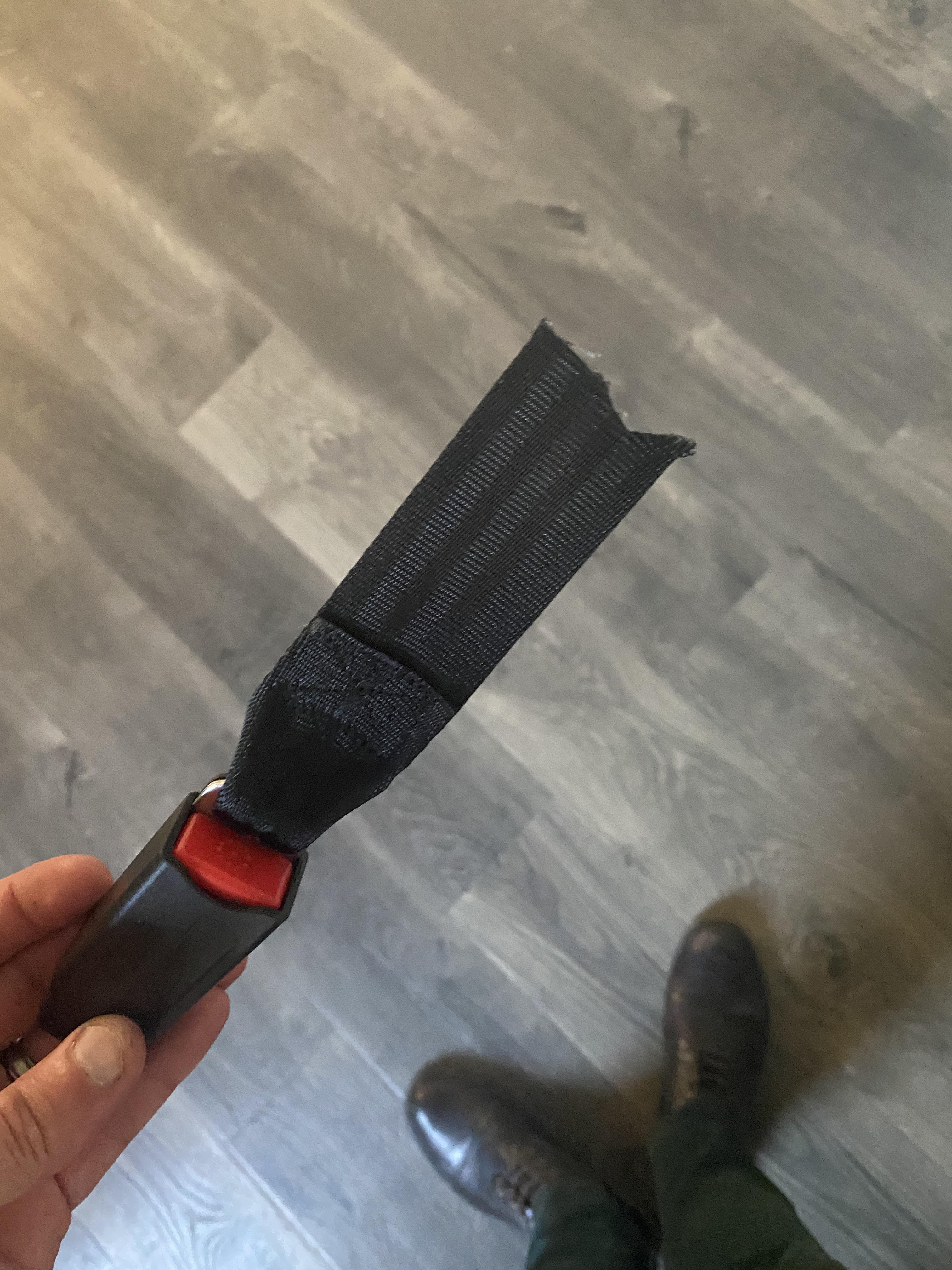 Someone decided to cut my kids car seat latch strap. Glad I noticed it