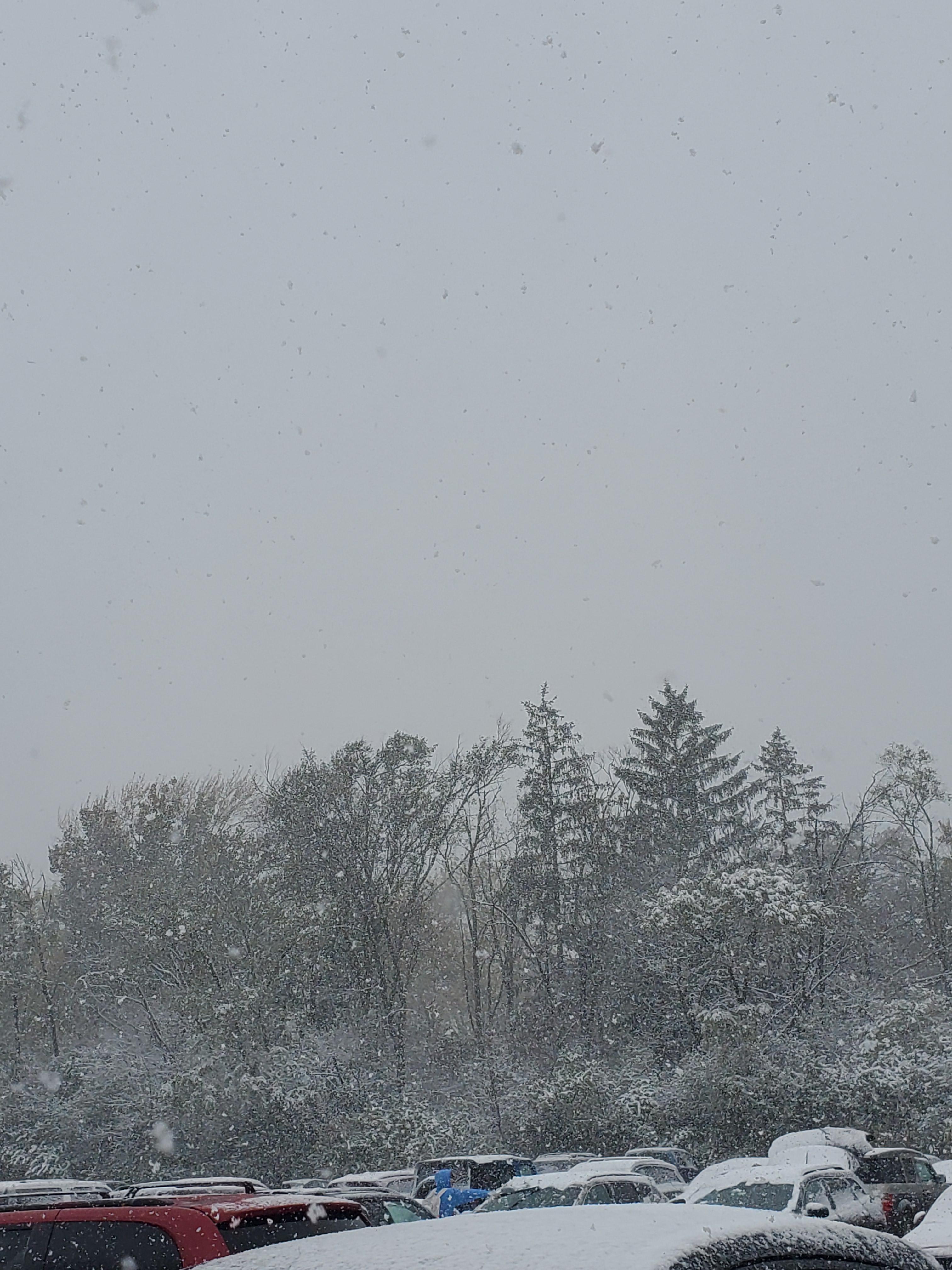 Another picture of the snow in Illinois r/winterporn