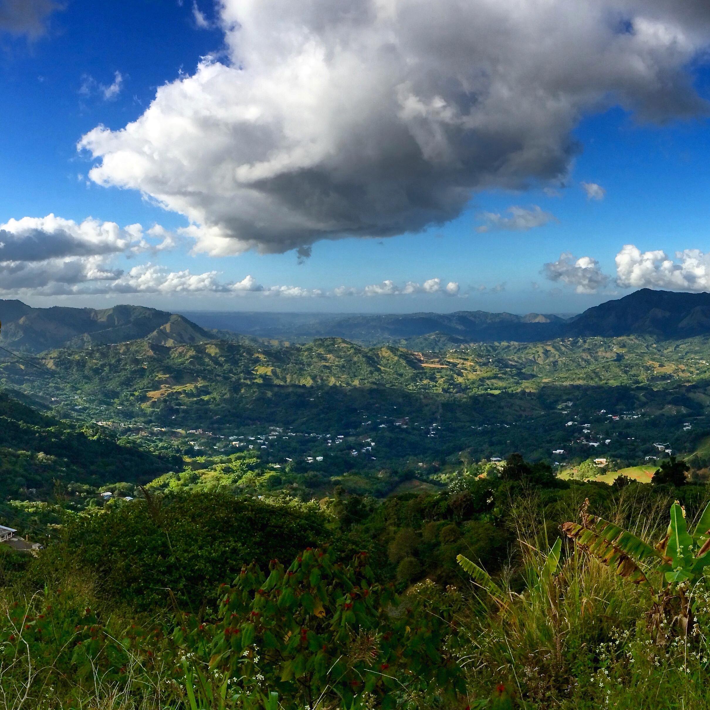 Jayuya, Puerto Rico r/naturepics