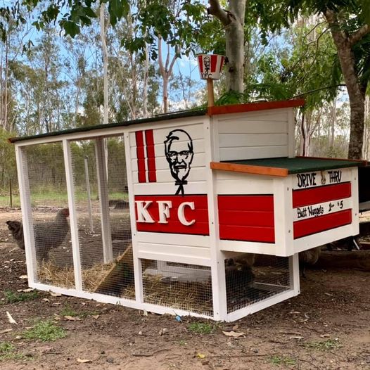 Finger lickin' chicken coop r/funny