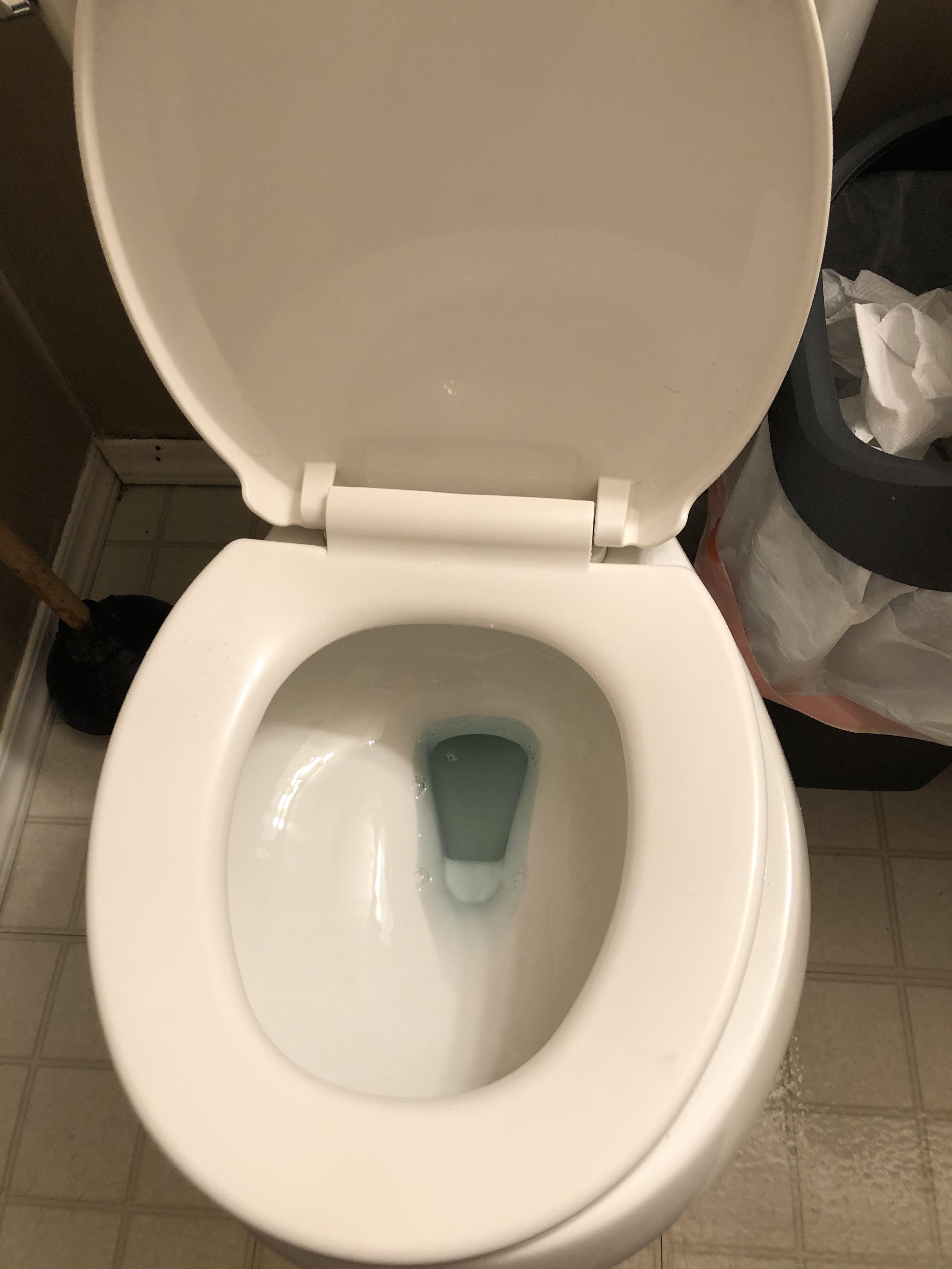 My toilet bowl is annoying r/mildyinfuriating