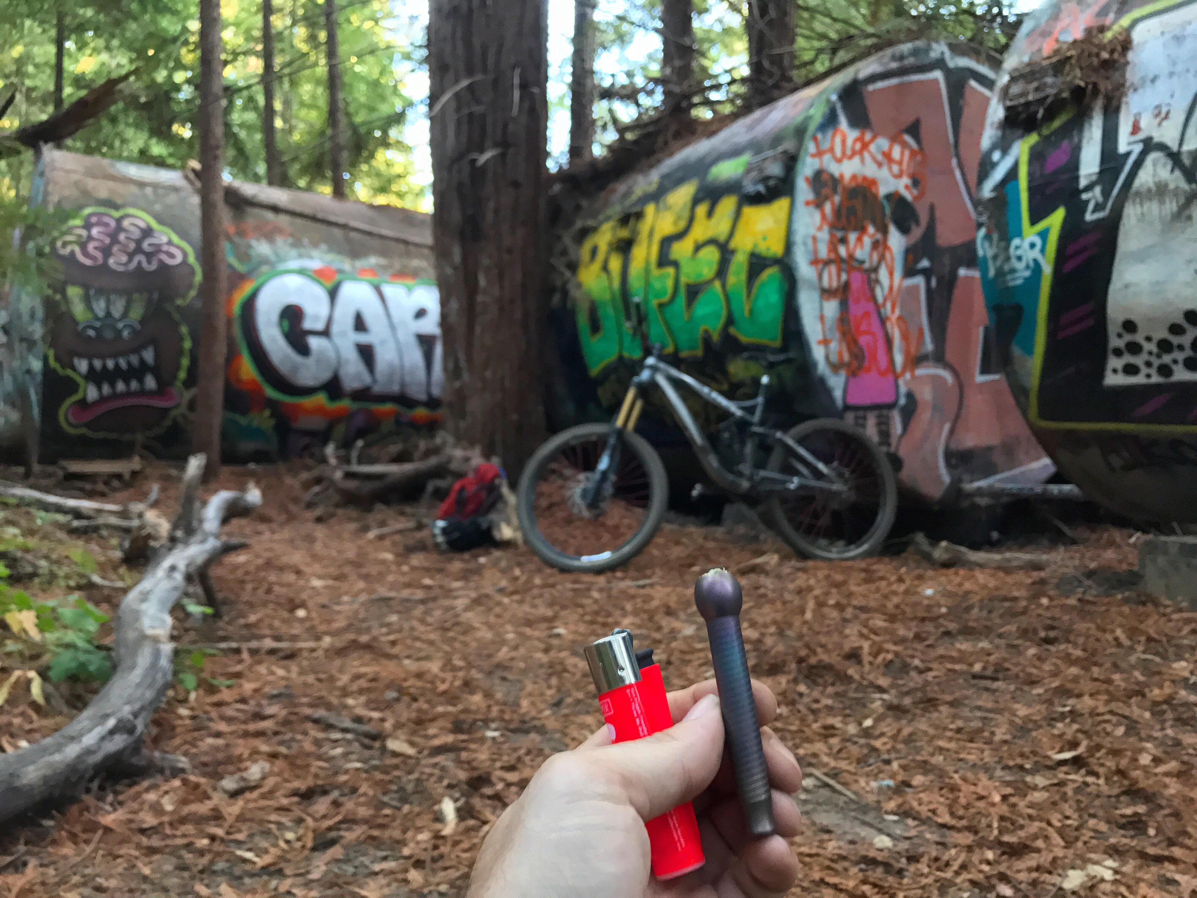 Pretty cool spot to stop for a midride smoke in the Santa Cruz forest