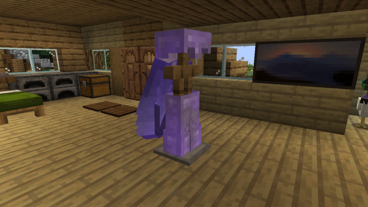 Tip You can put Elytra on an armor stand if you'd want to for some