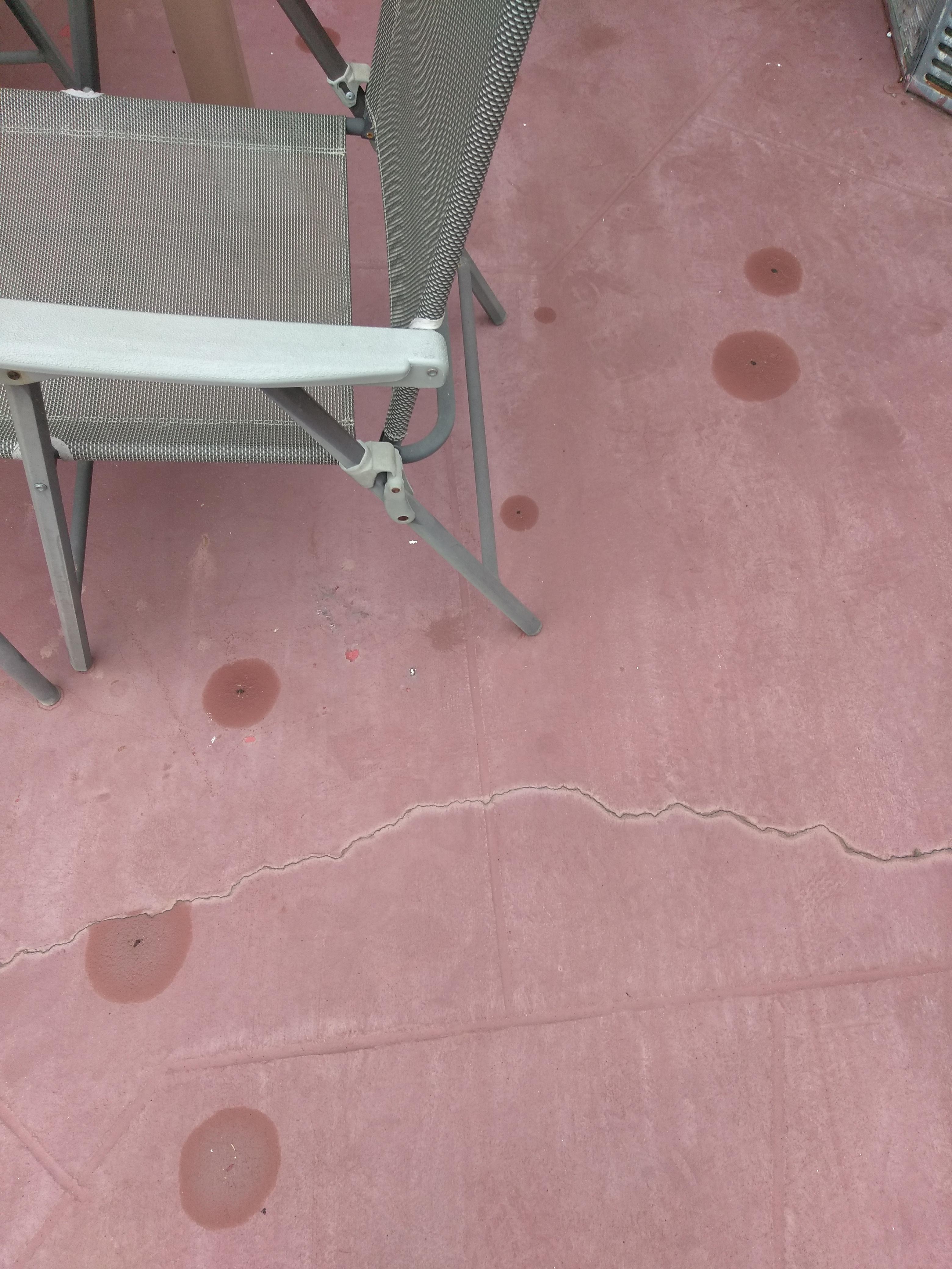 So lizards poop on my back patio... I'm wondering why the dew doesn't