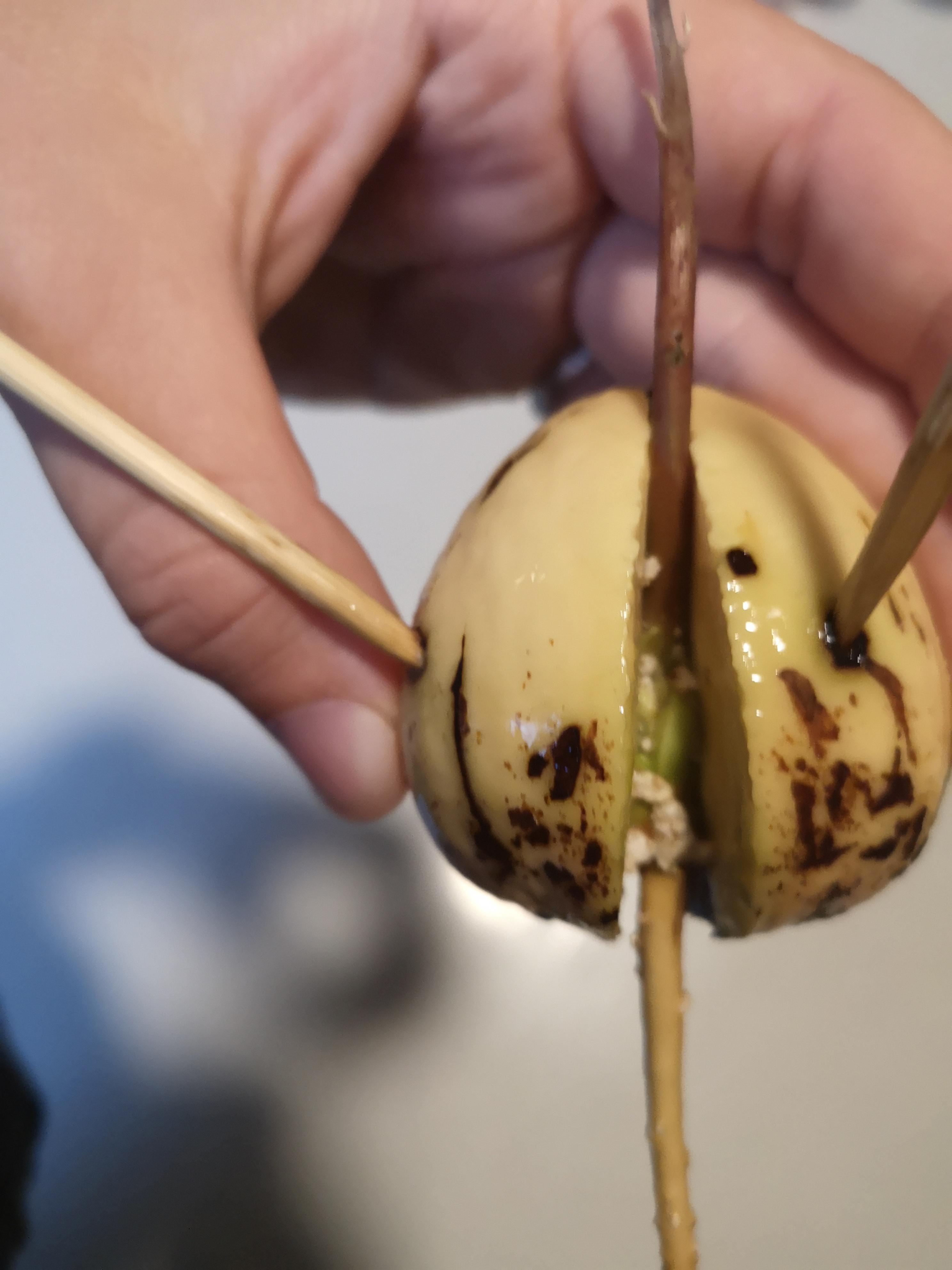 Reddit Dive into anything