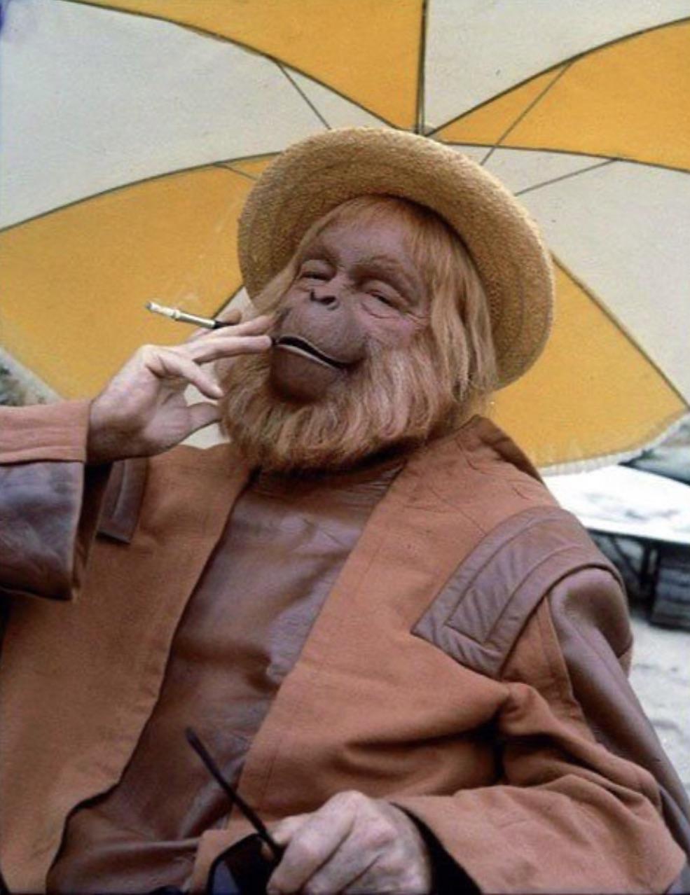 Dr. Zaius, of the Apes, 1968 r/pics