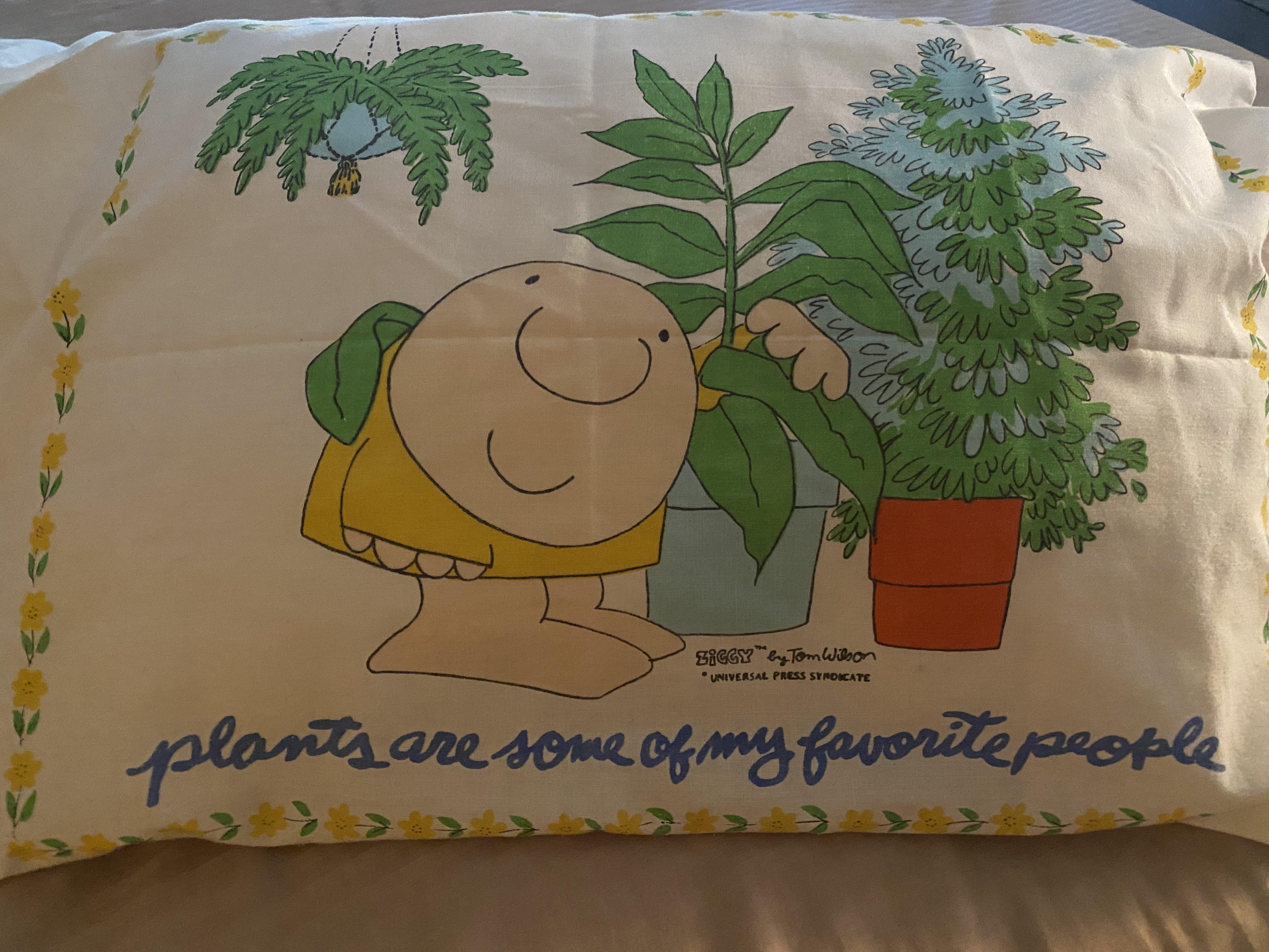 My parents kept my childhood bedding (weird), this Ziggy pillowcase has