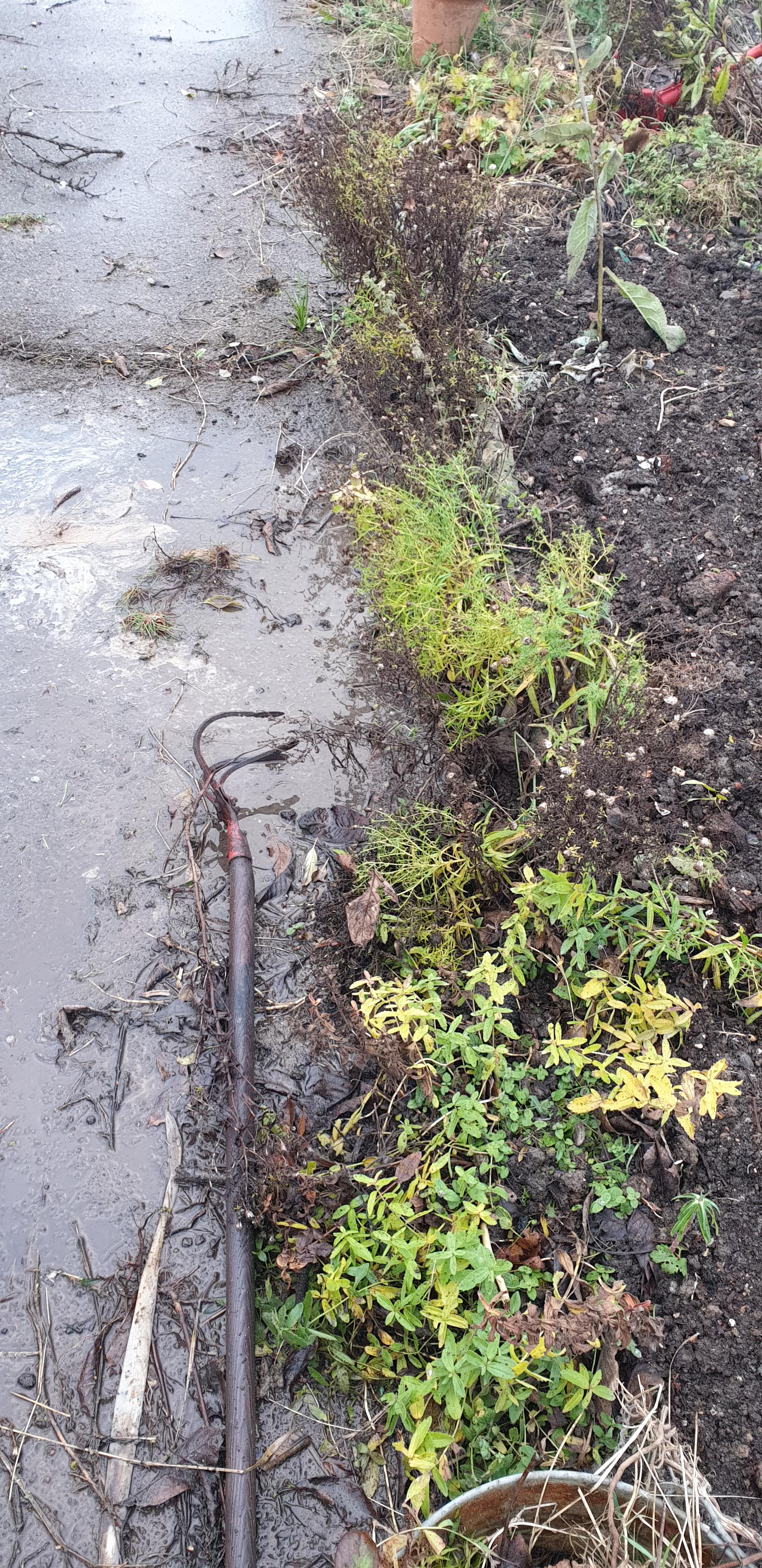 Washing Rock Climbing Holds powerwashingporn