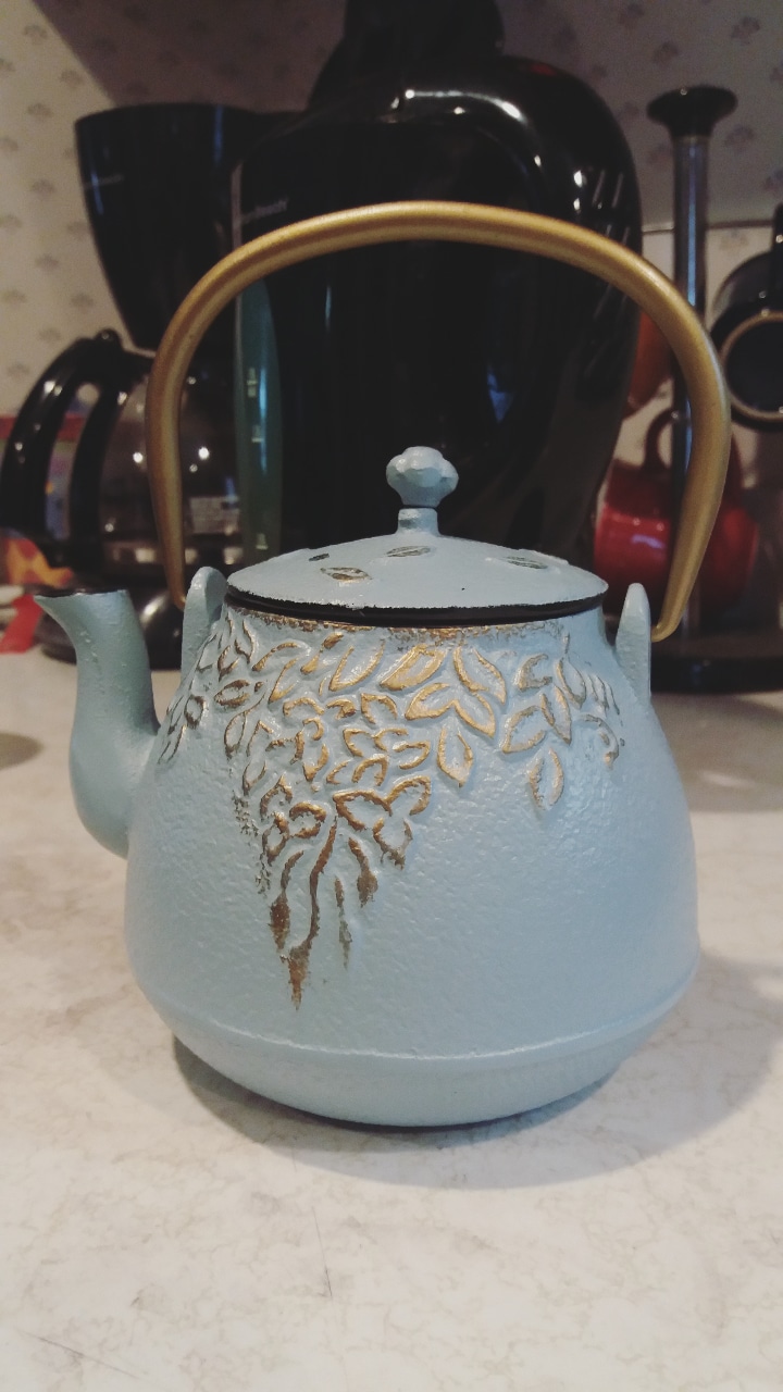 Trying out my new cast iron teapot from Top Tier r/tea