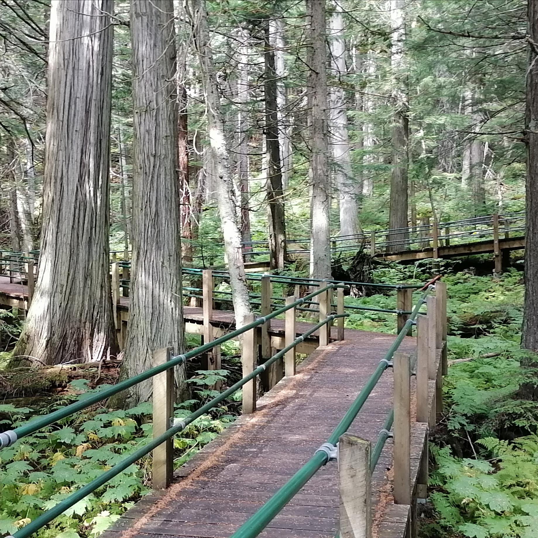 Memorial park near Revelstoke, BC r/BCPics