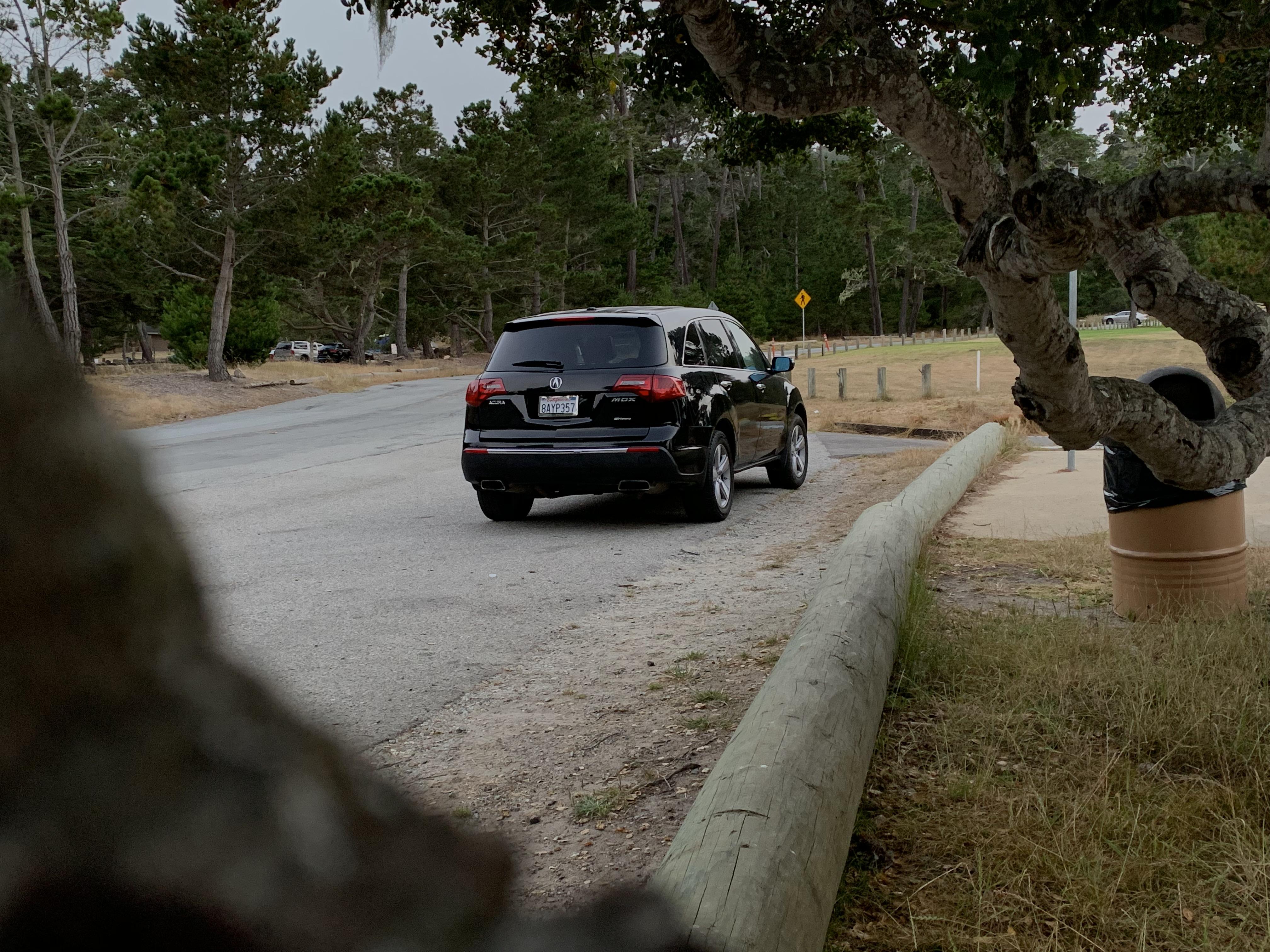 monterey hills Reddit post and comment search SocialGrep