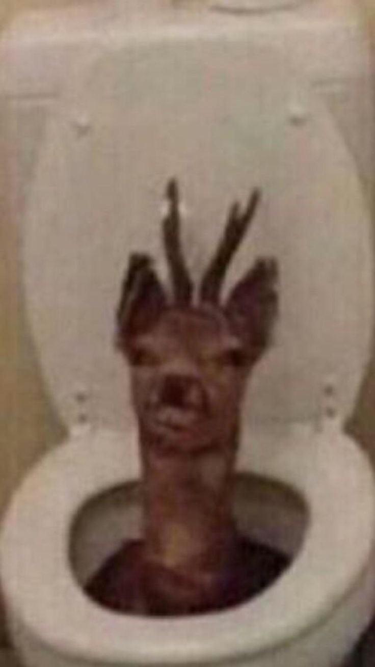 Toilet deer r/funny
