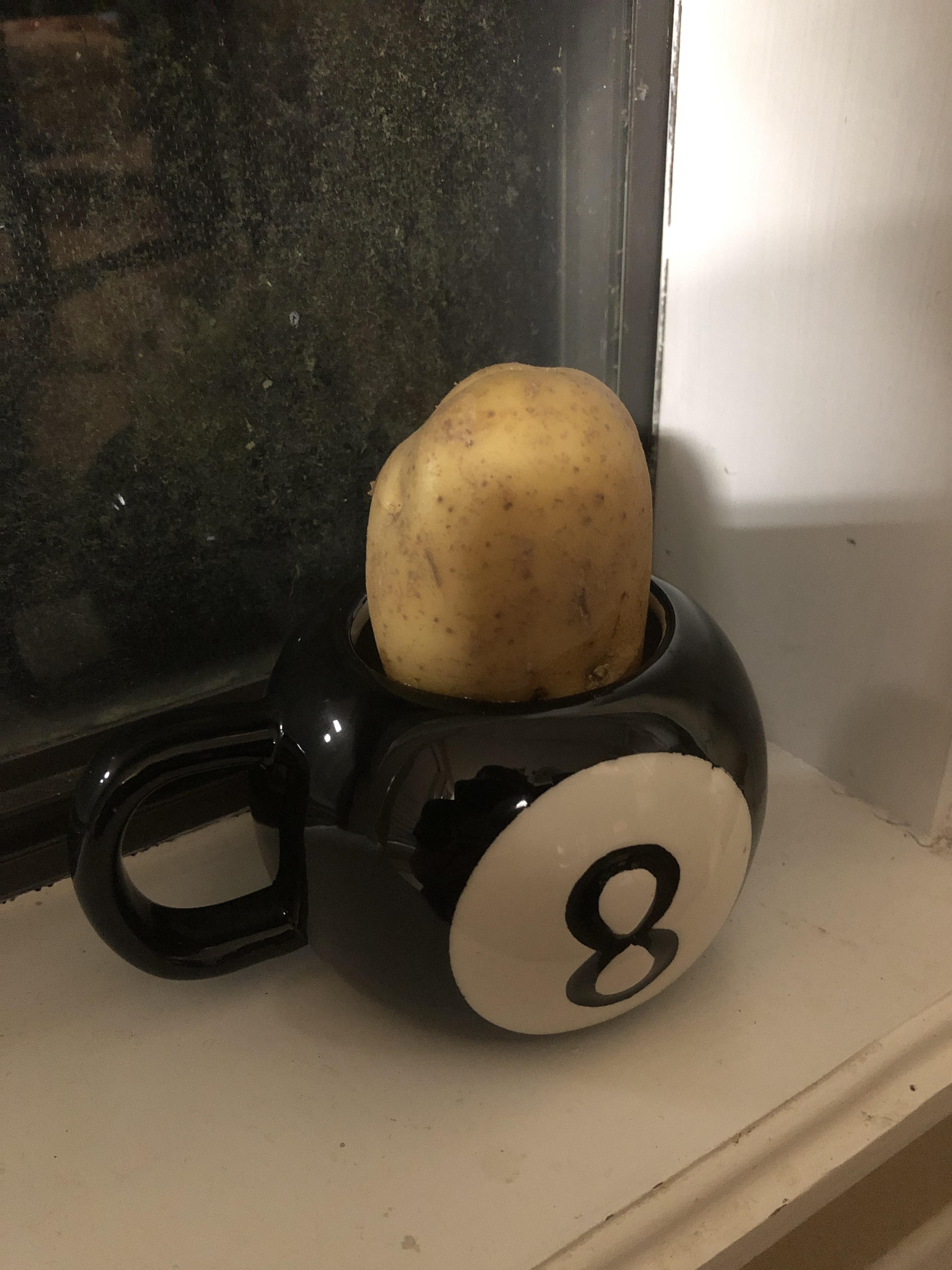 So I’ve got this potato next to a window, and in water, is there