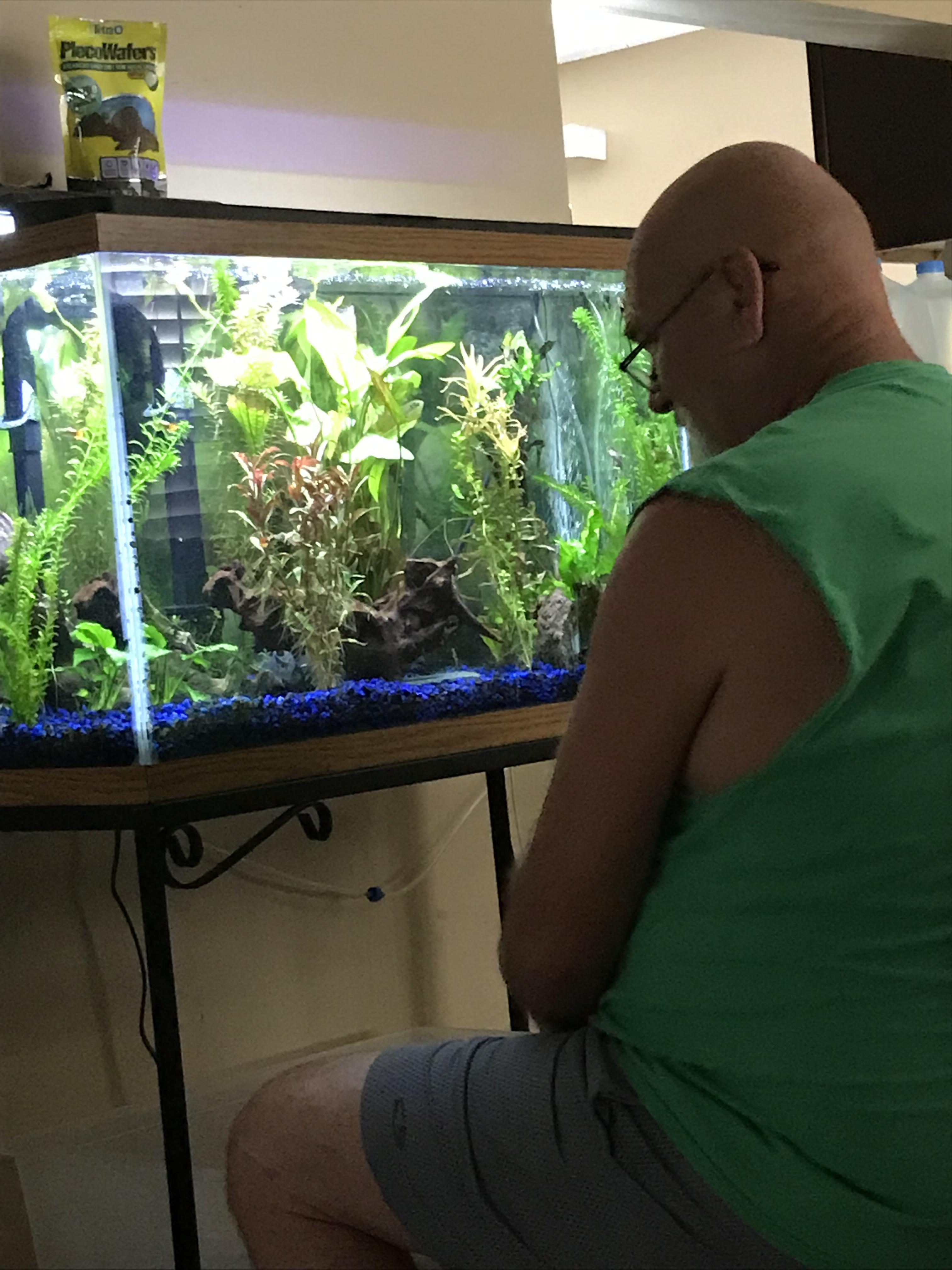 Fish Friends r/Aquariums