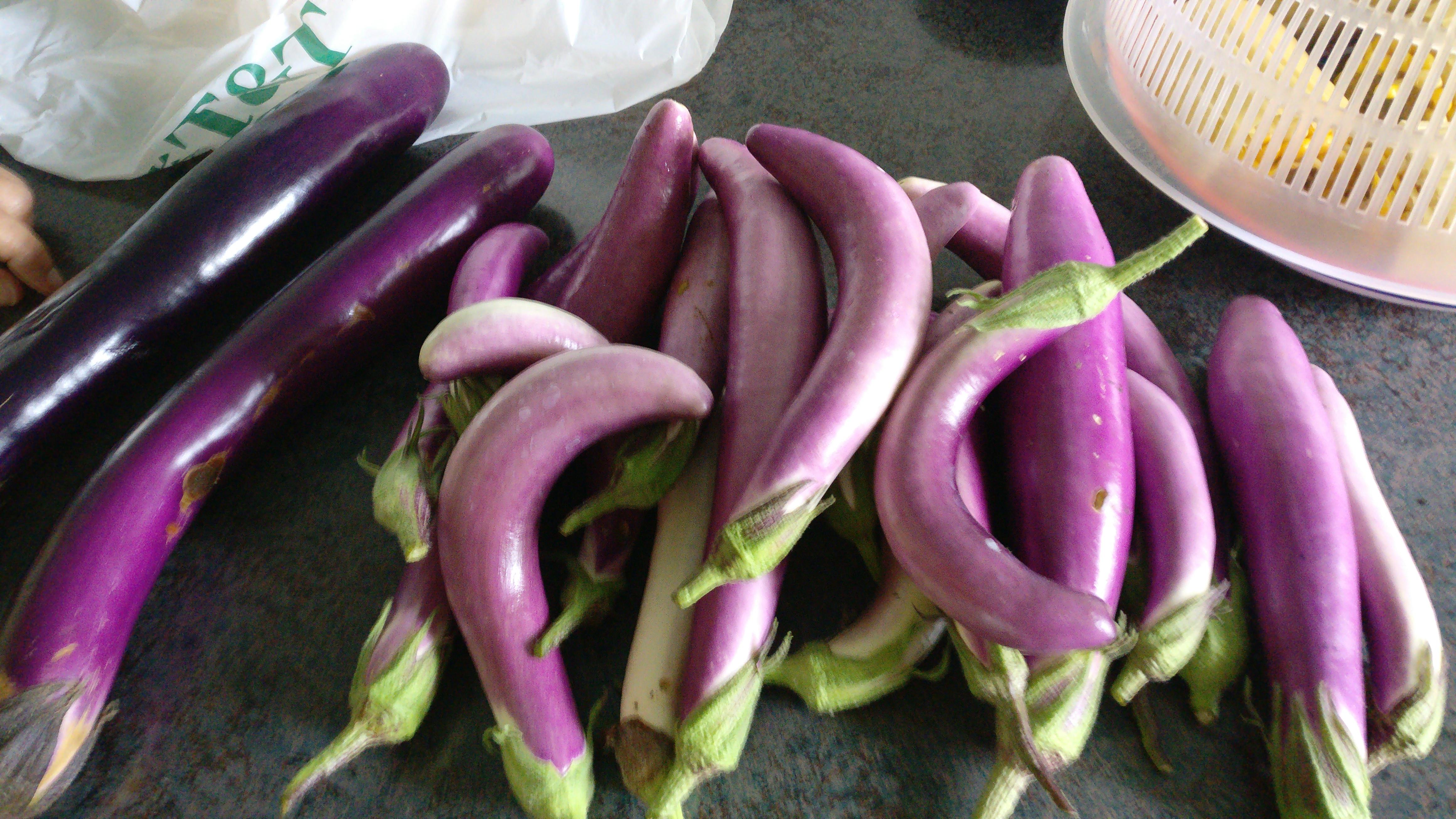 2 store bought eggplants vs my pile of home grown eggplants! r/gardening