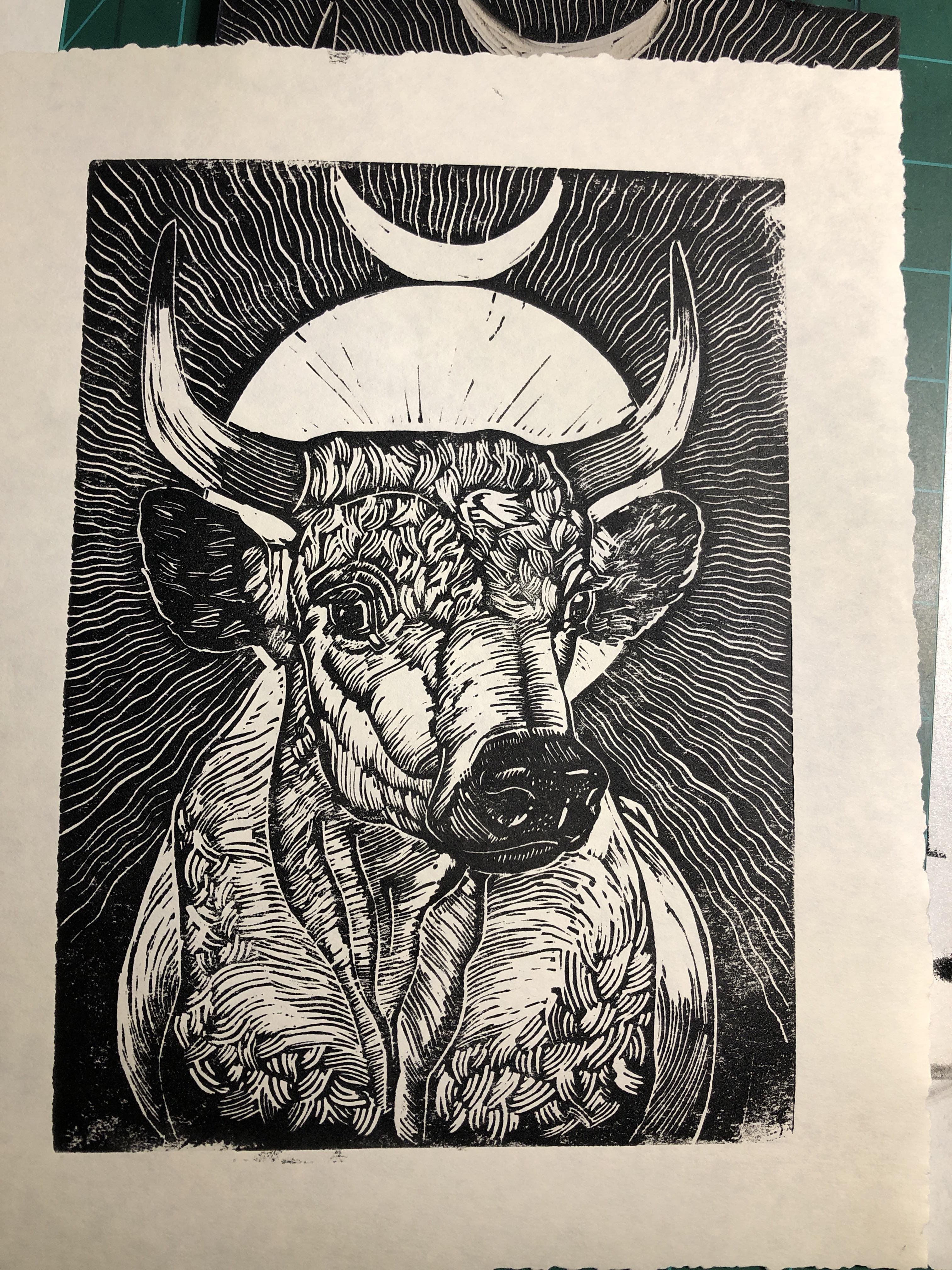 10 best u/buffalo_st_print_co_ images on Pholder Printed my cow