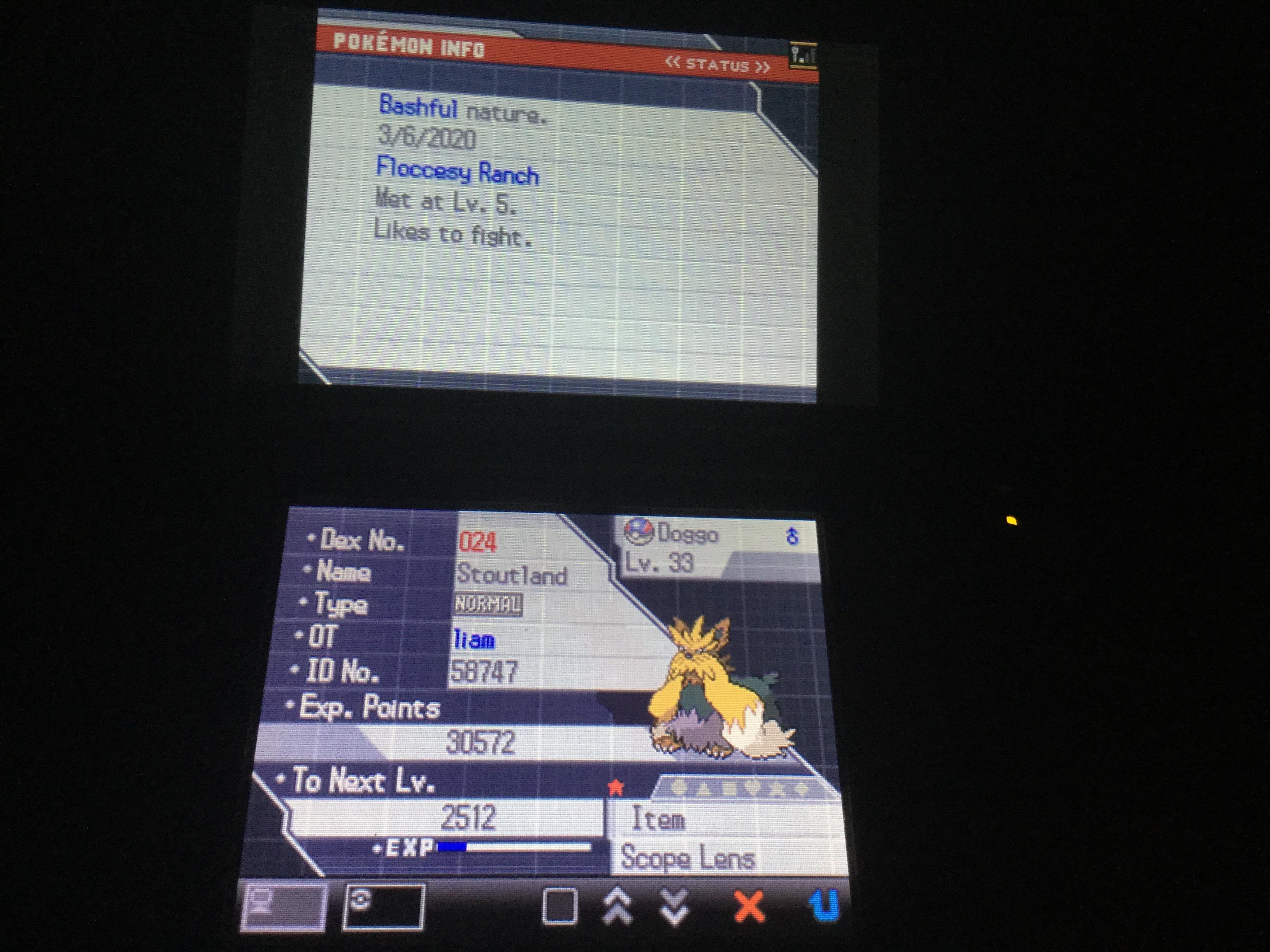 [Gen 5] My shiny stoutland that I caught as a lillipup after 48,000