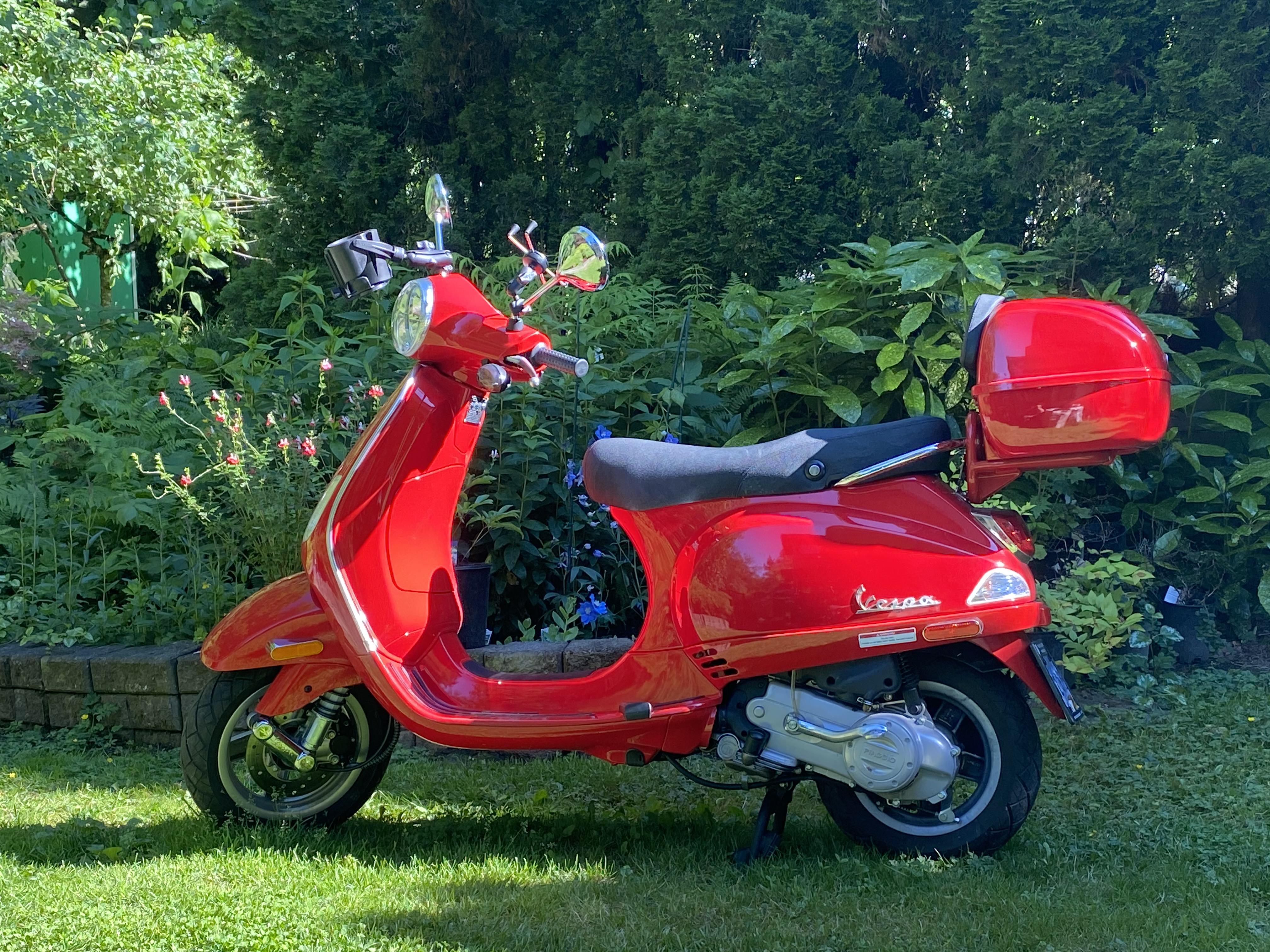 My ride. British Columbia. r/scooters