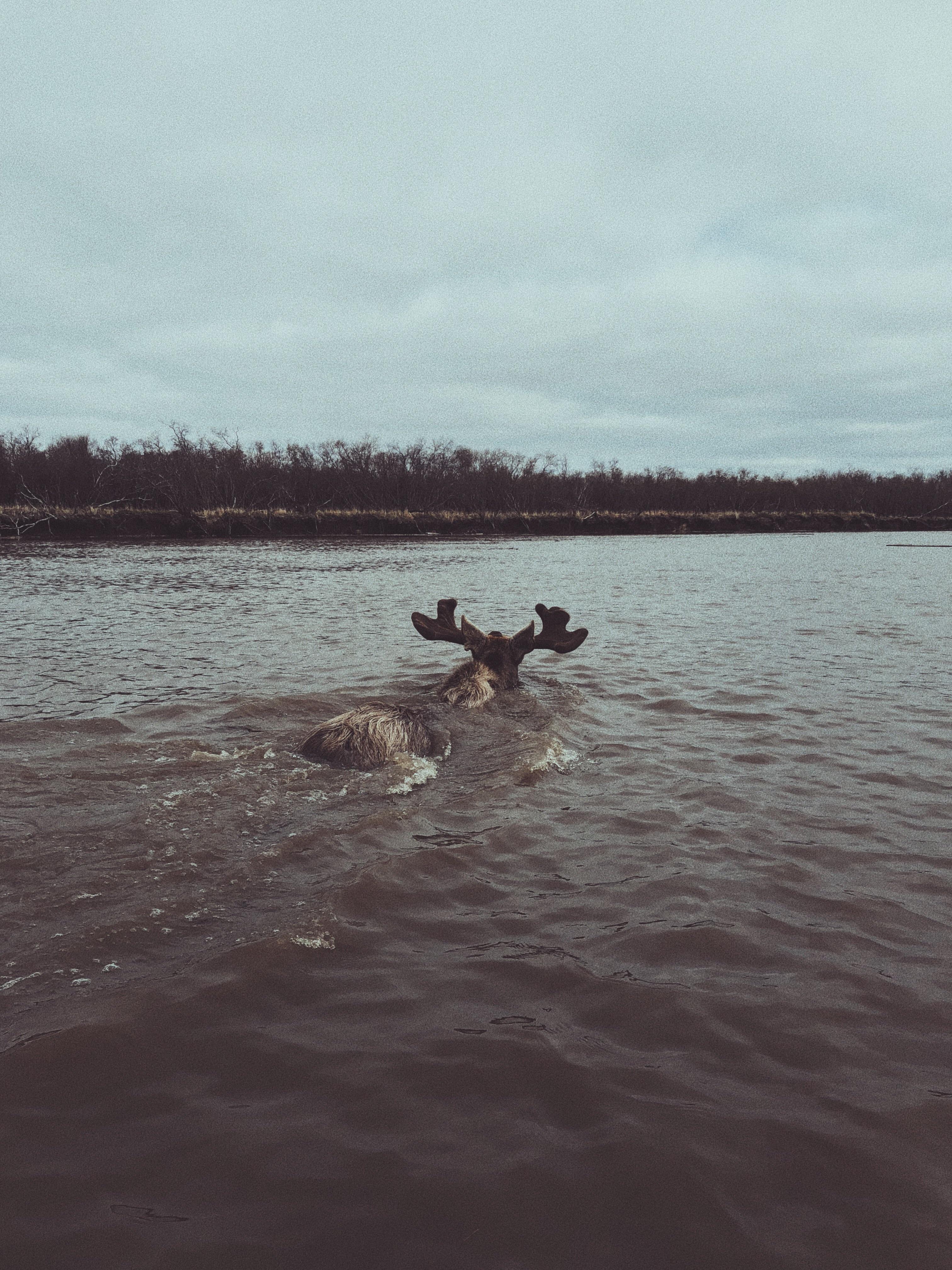 Emmonak, AK r/alaska