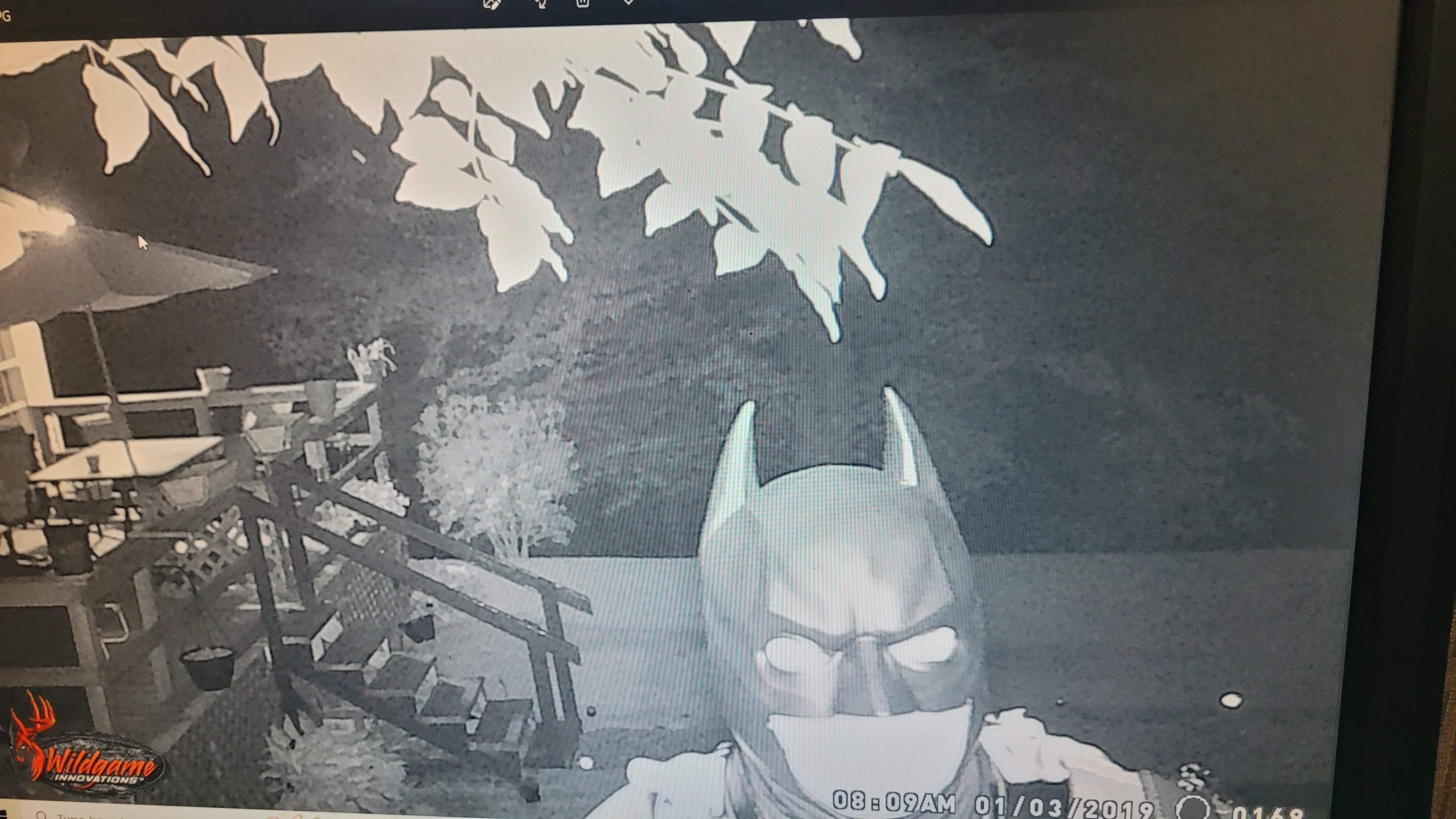 Batman spotted on my game camera in NC r/batman
