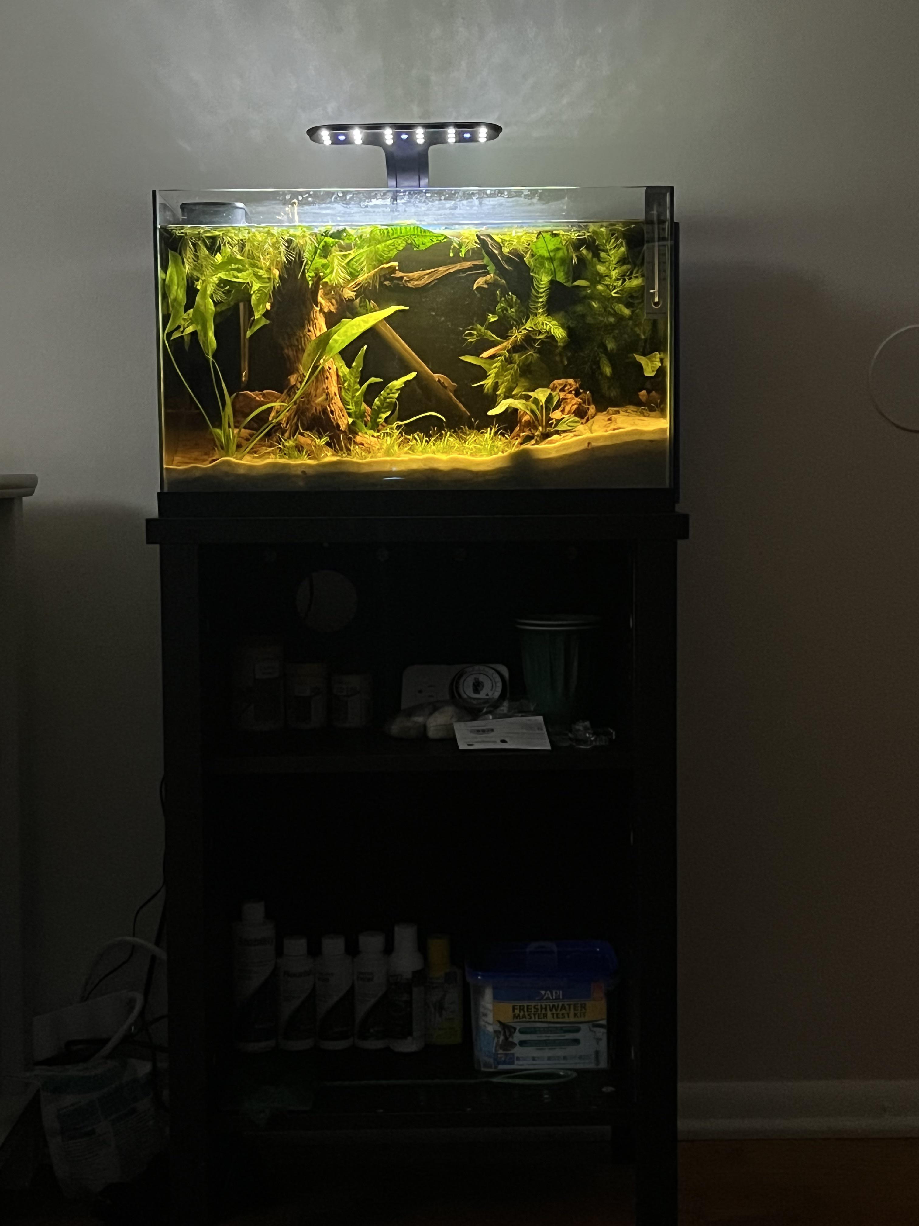 Finally finished my new tank set up! I’m really happy with the way it