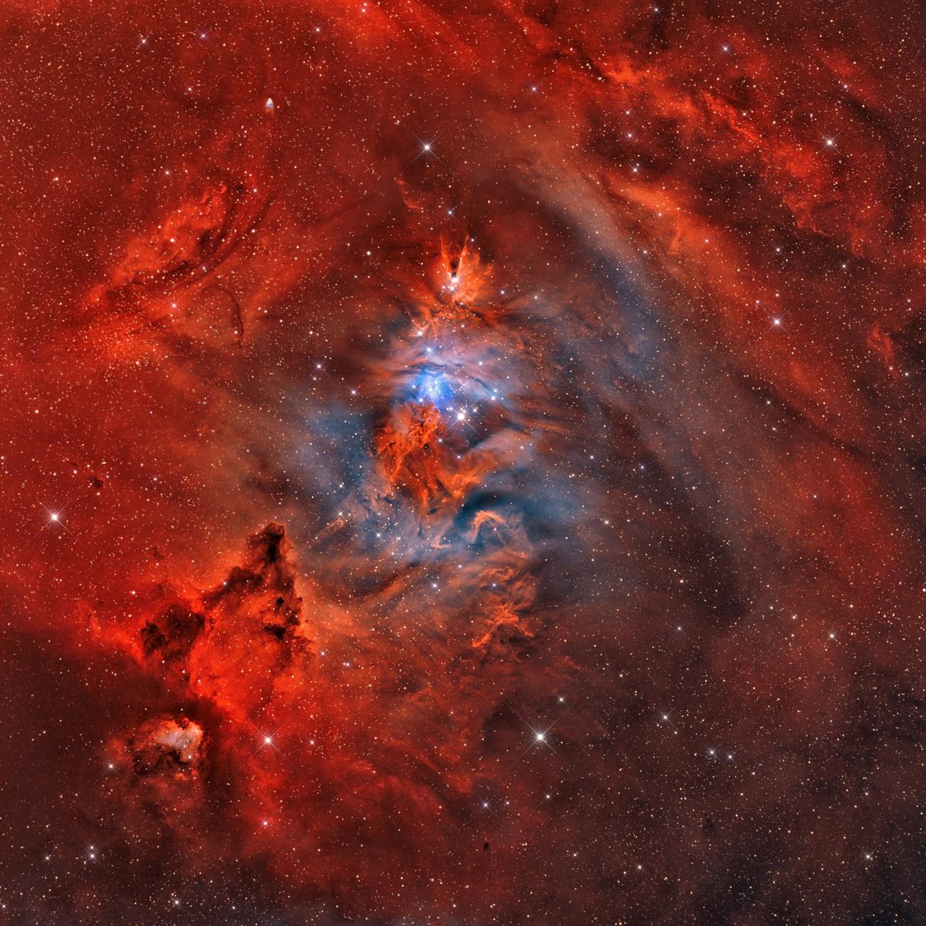 The Cone Nebula, Christmas Tree star cluster, and the Fox Fur Nebula in the constellation