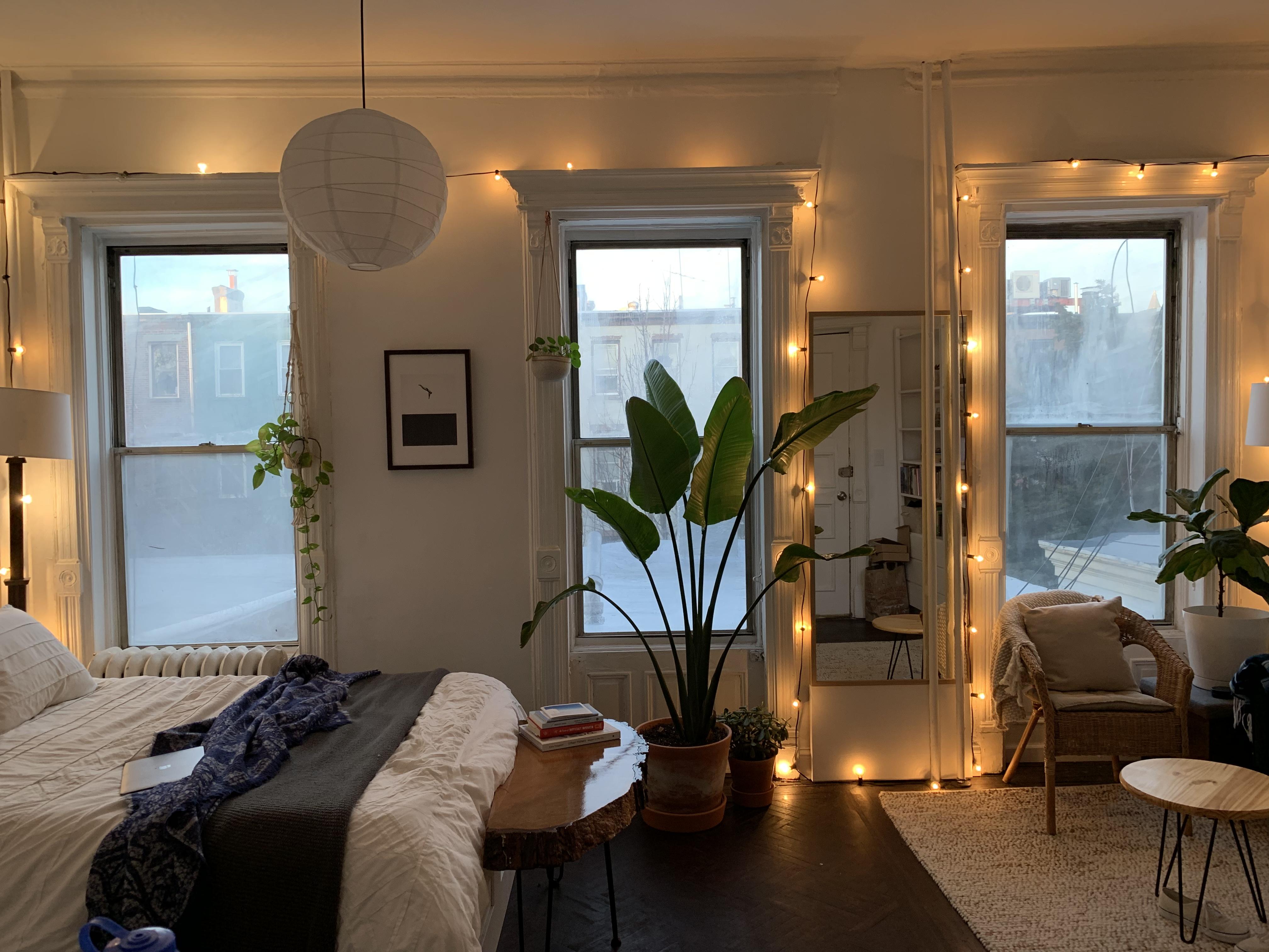 Tiny studio in Brooklyn, NY r/CozyPlaces