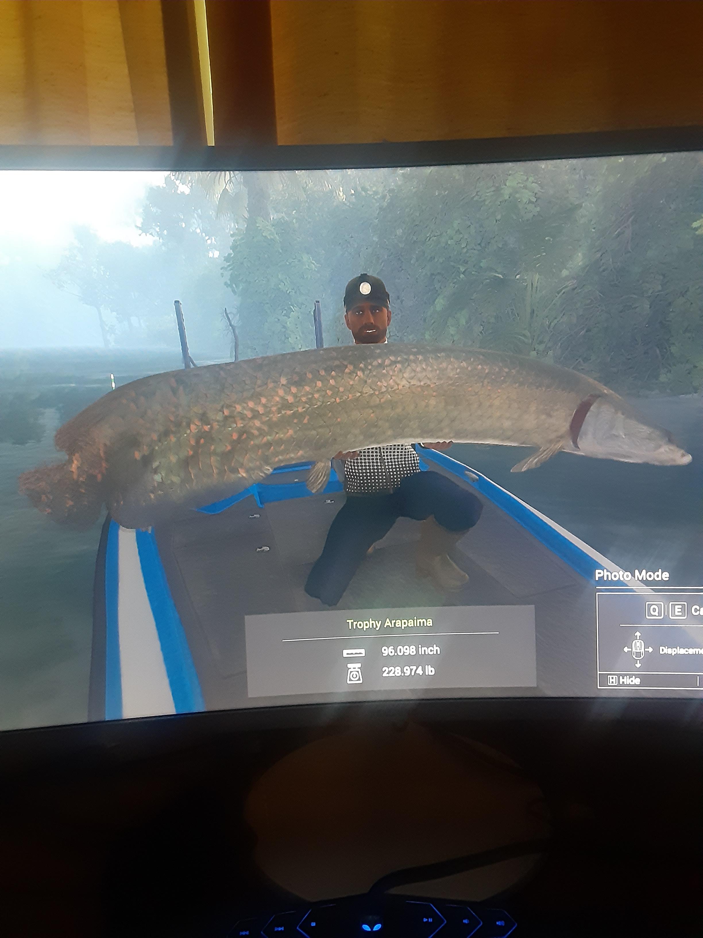 My biggest fish yet )