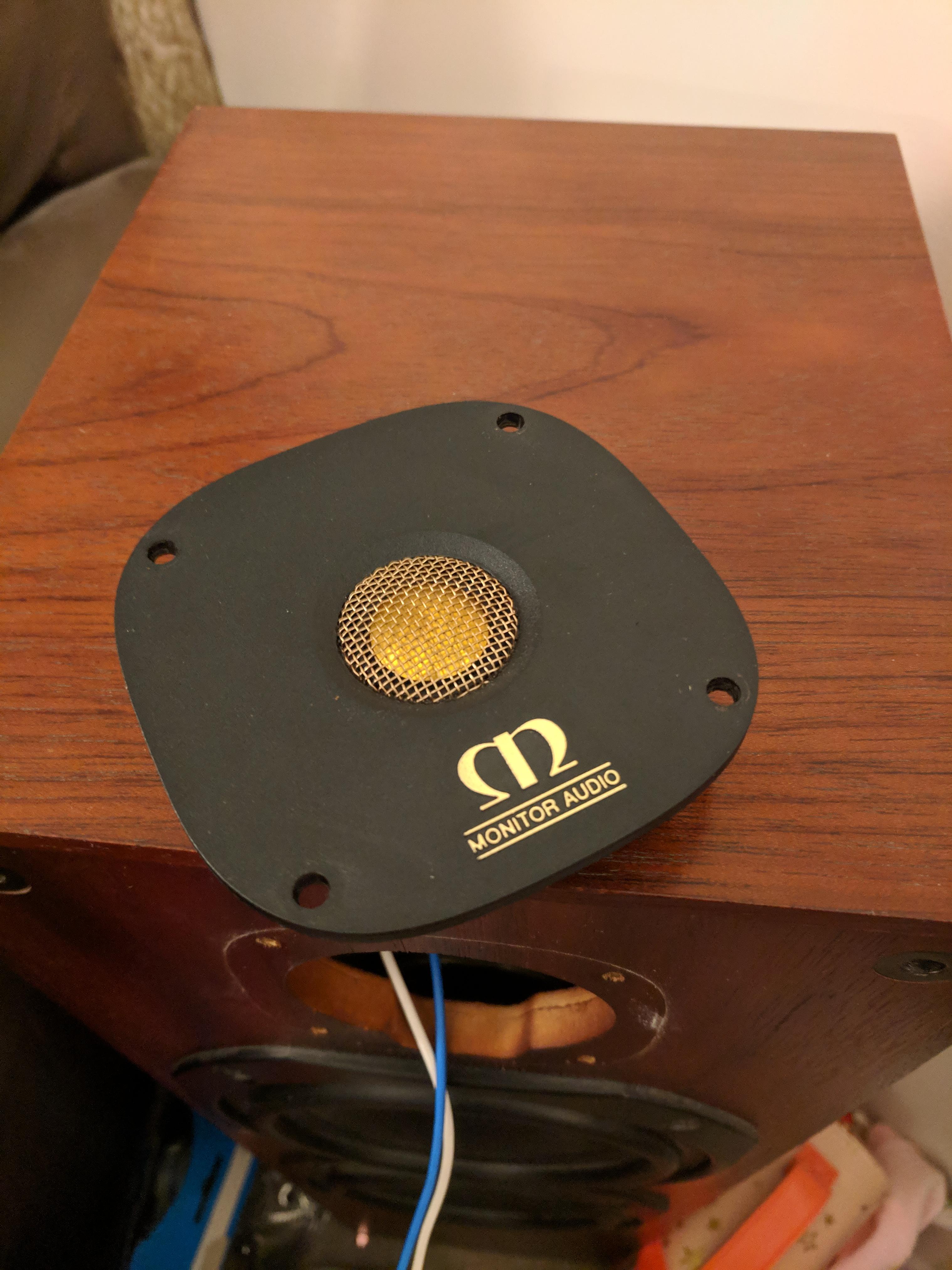 Advice on speaker tweeter repair r/diysound