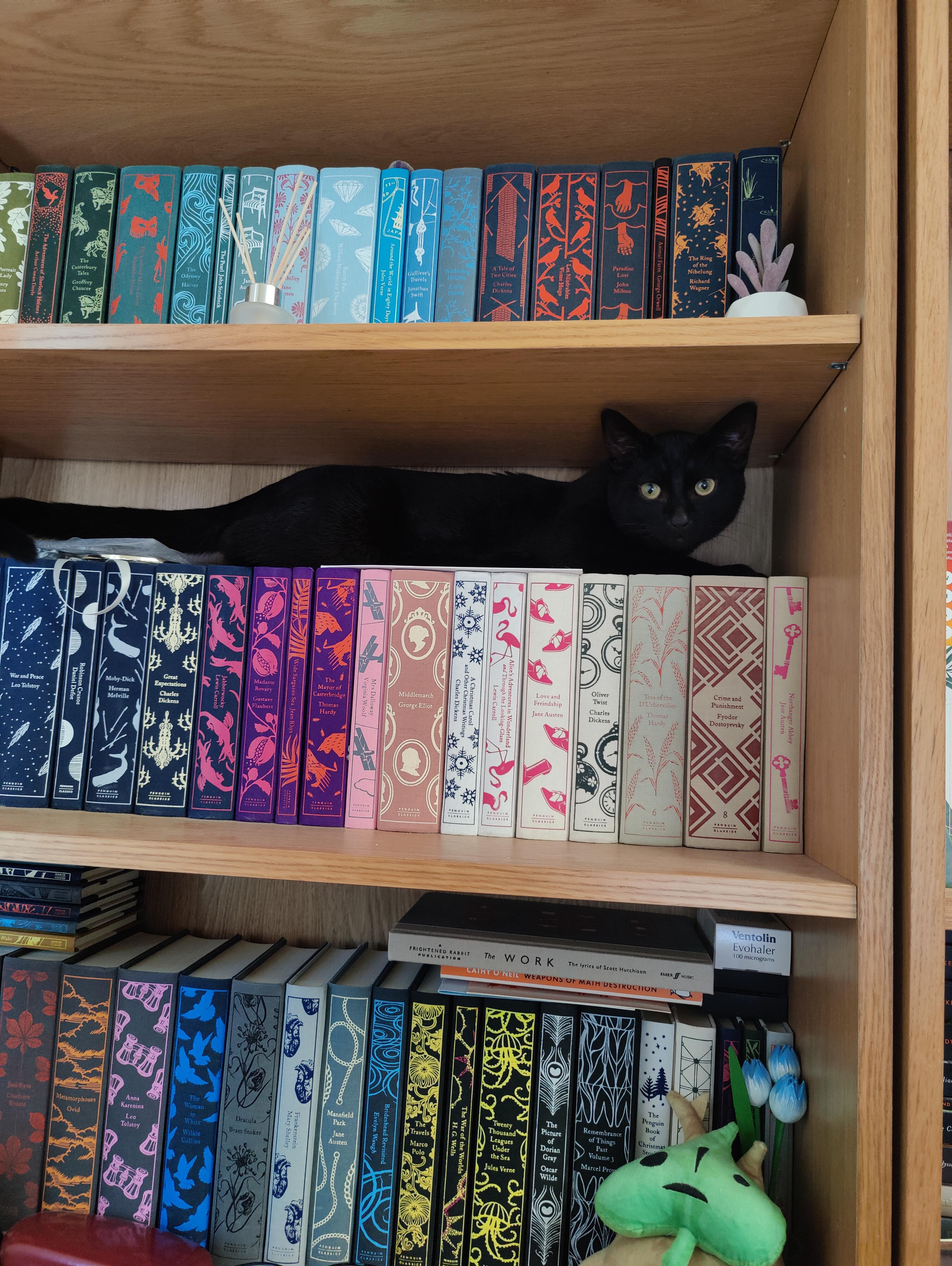 /r/bookshelves Reddit post and comment search SocialGrep