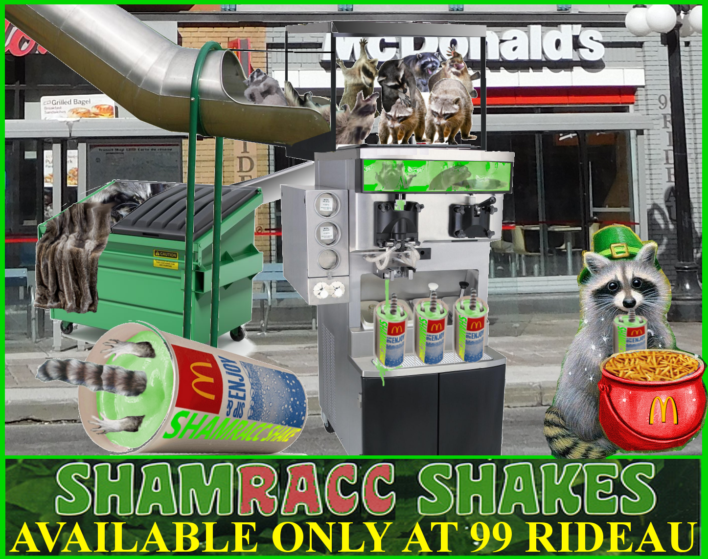 Where Are Best SHAMROCK SHAKES in Ottawa? r/ottawa